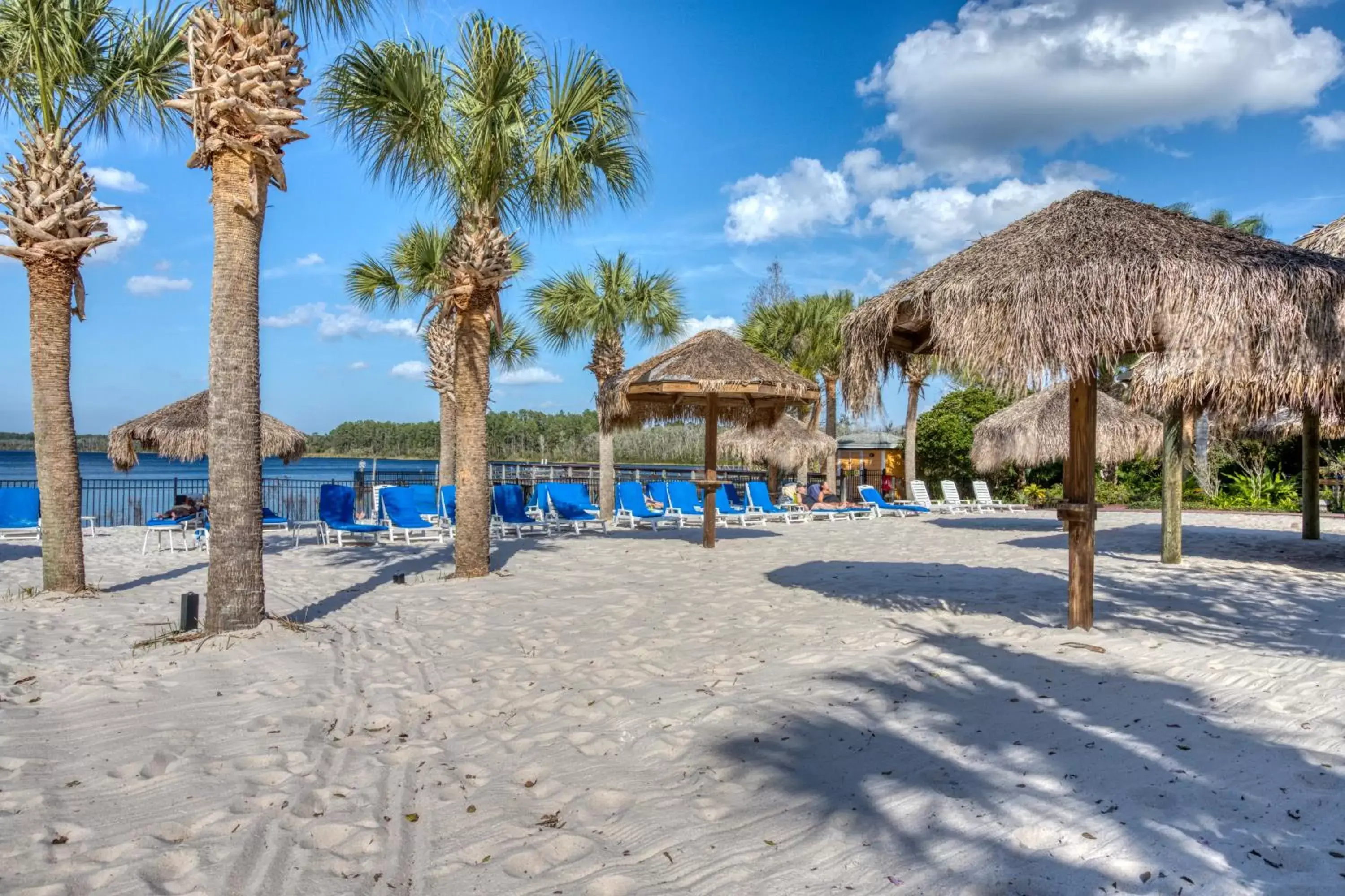 Day, Beach in Bahama Bay Resort - Near Disney