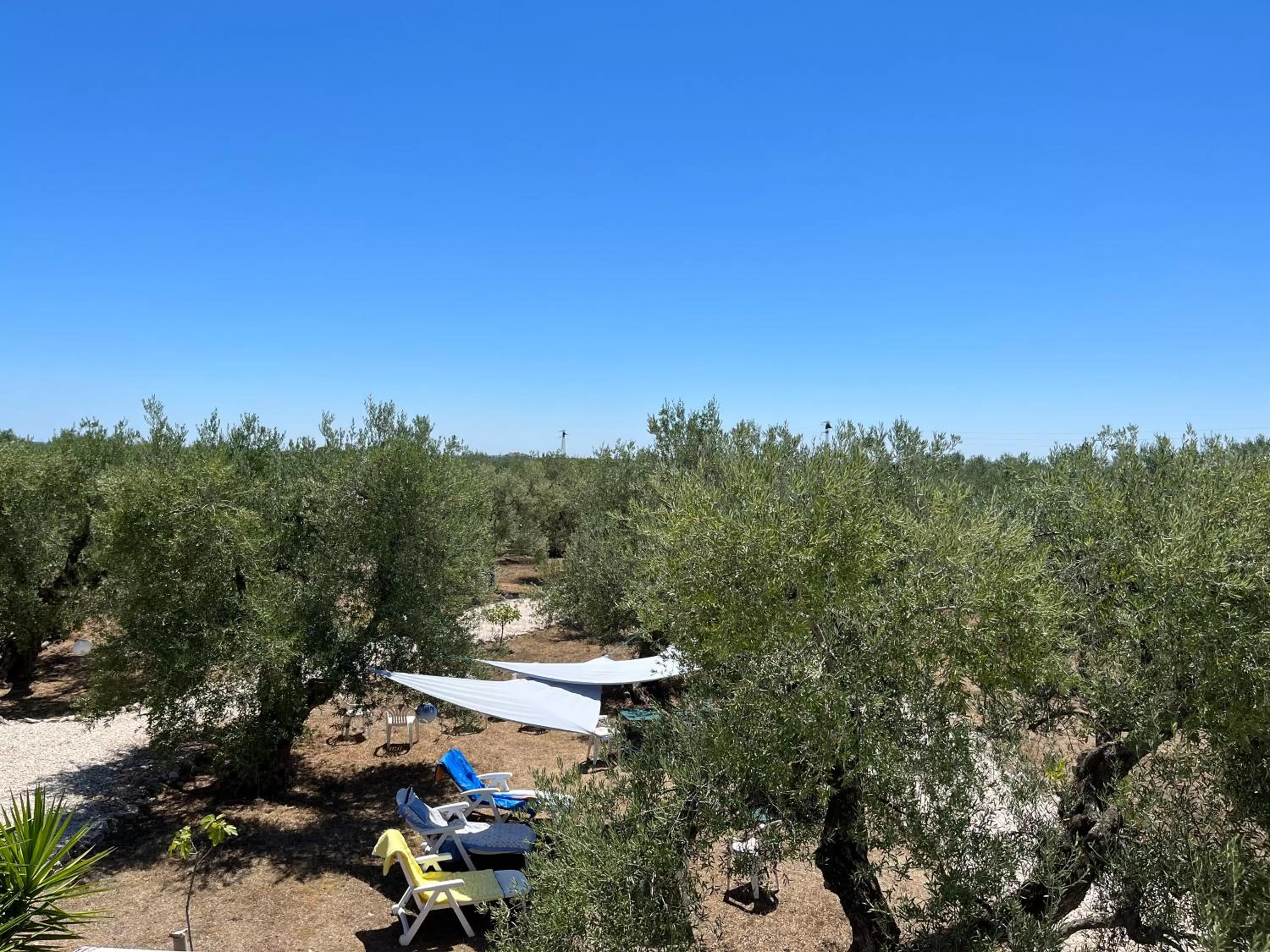 Natural landscape in B&B Villa Mediterranea with parking space
