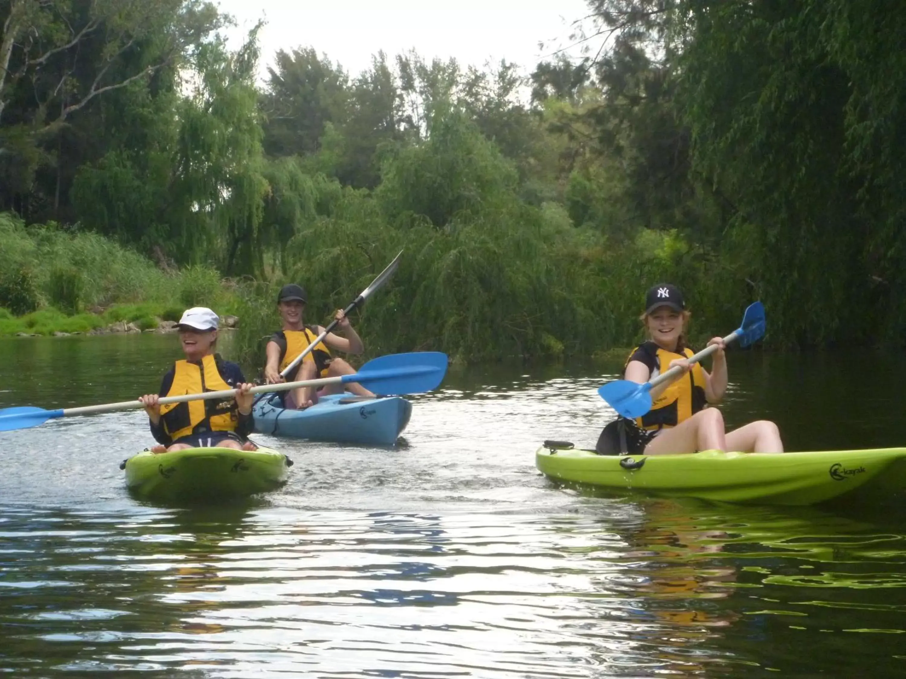 Activities, Canoeing in Bridge Motel Wellington
