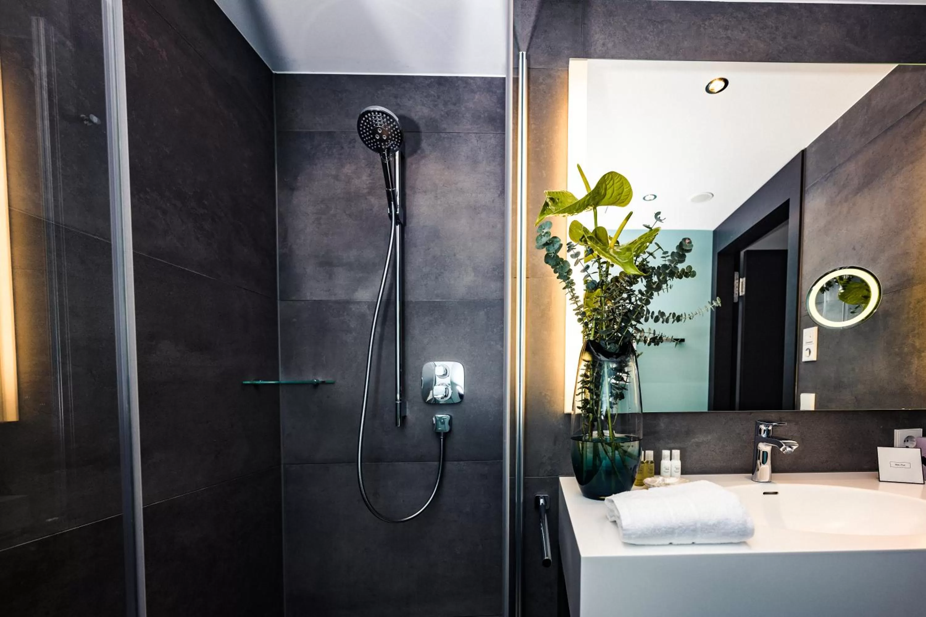 Shower in Hotel Der Blaue Reiter