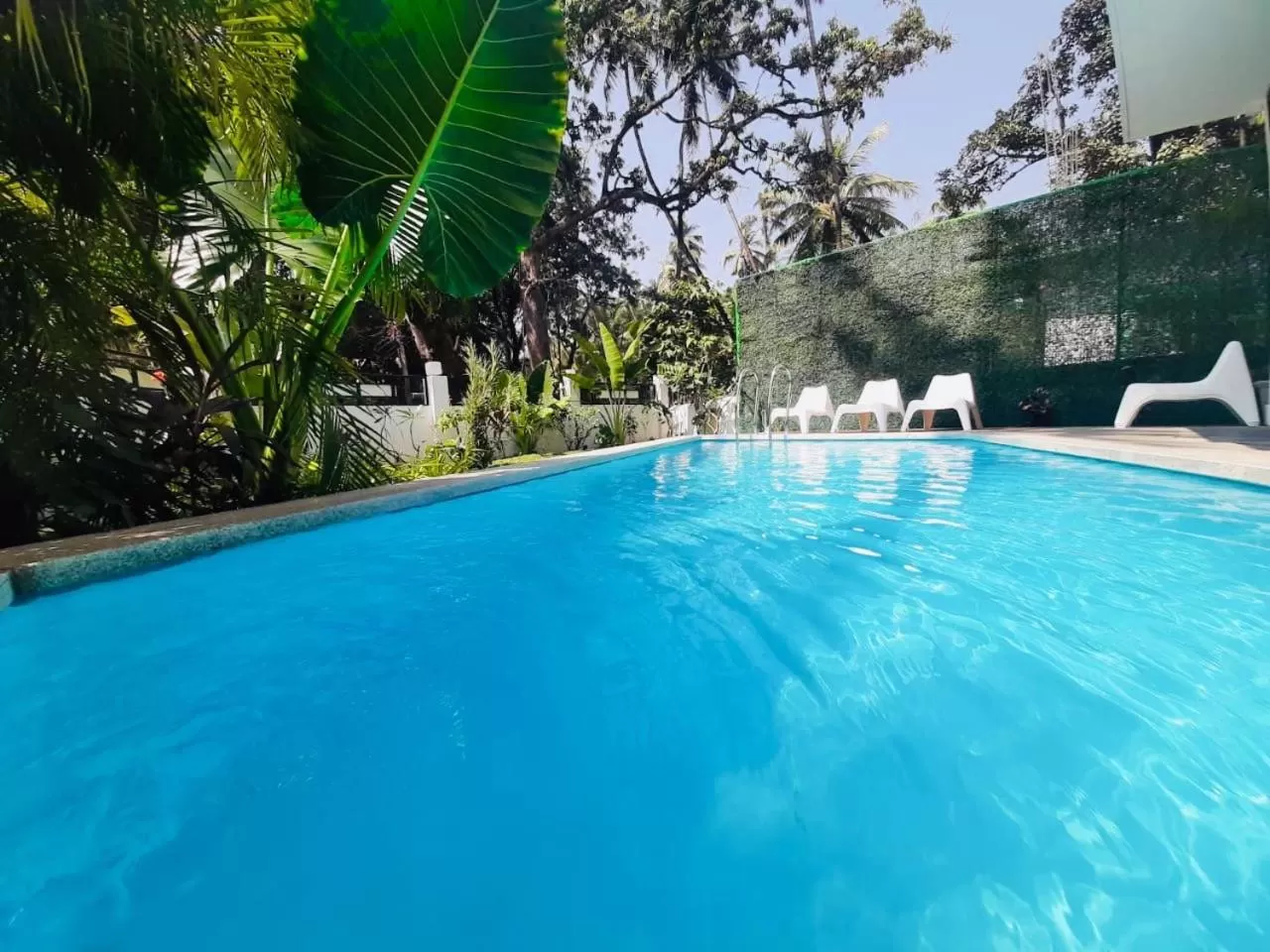 Swimming Pool in HALF Hotel, Calangute