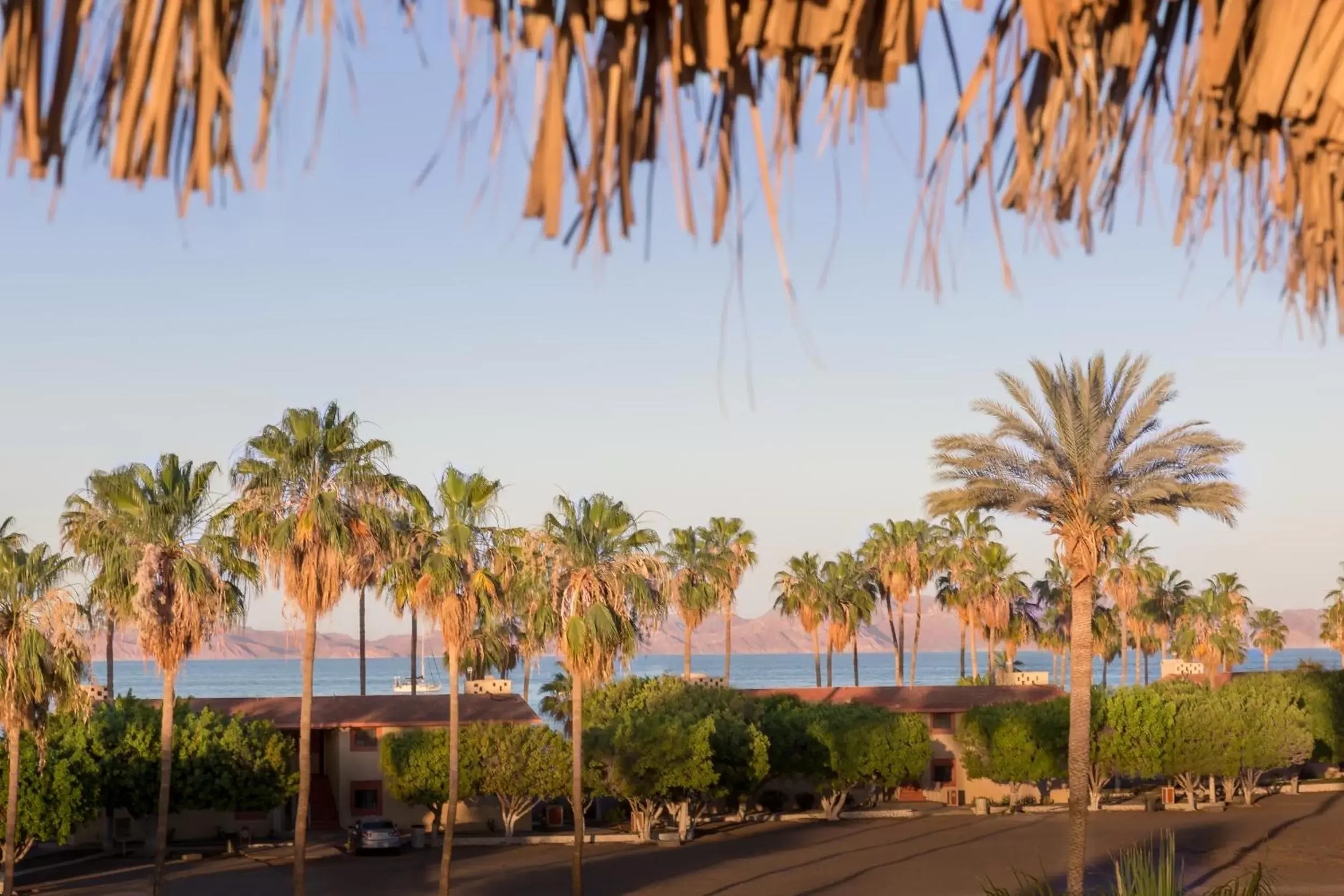 Sea view in Loreto Playa Boutique Hotel