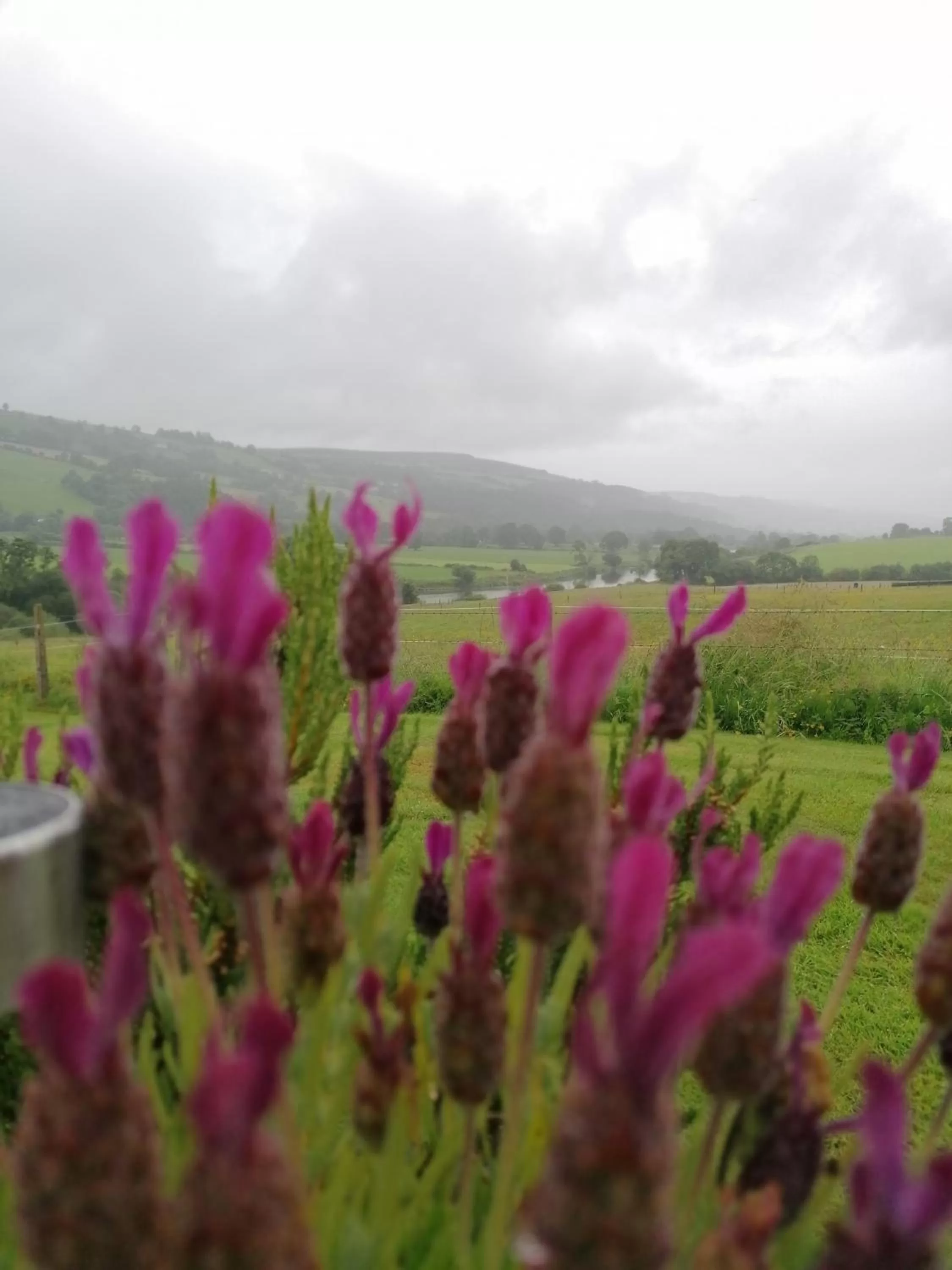 Cable Island Bed and Breakfast