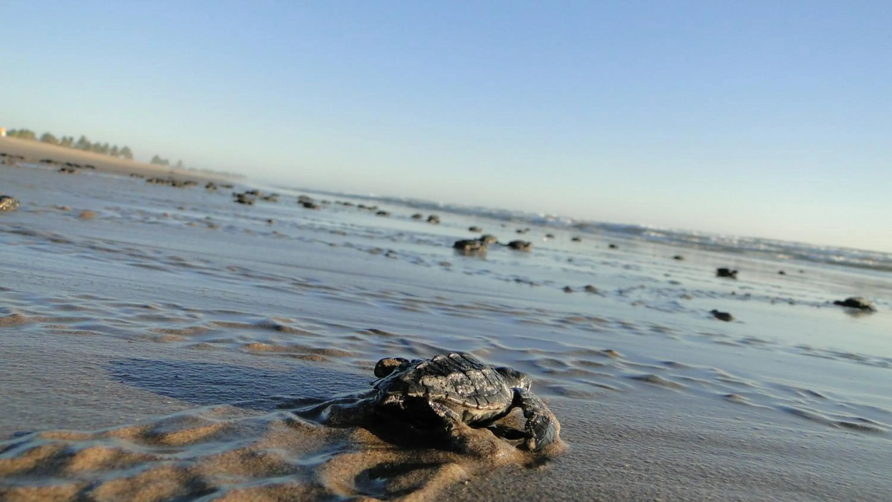Decorative detail in Las Villas Hotel & Golf By Estrella del Mar