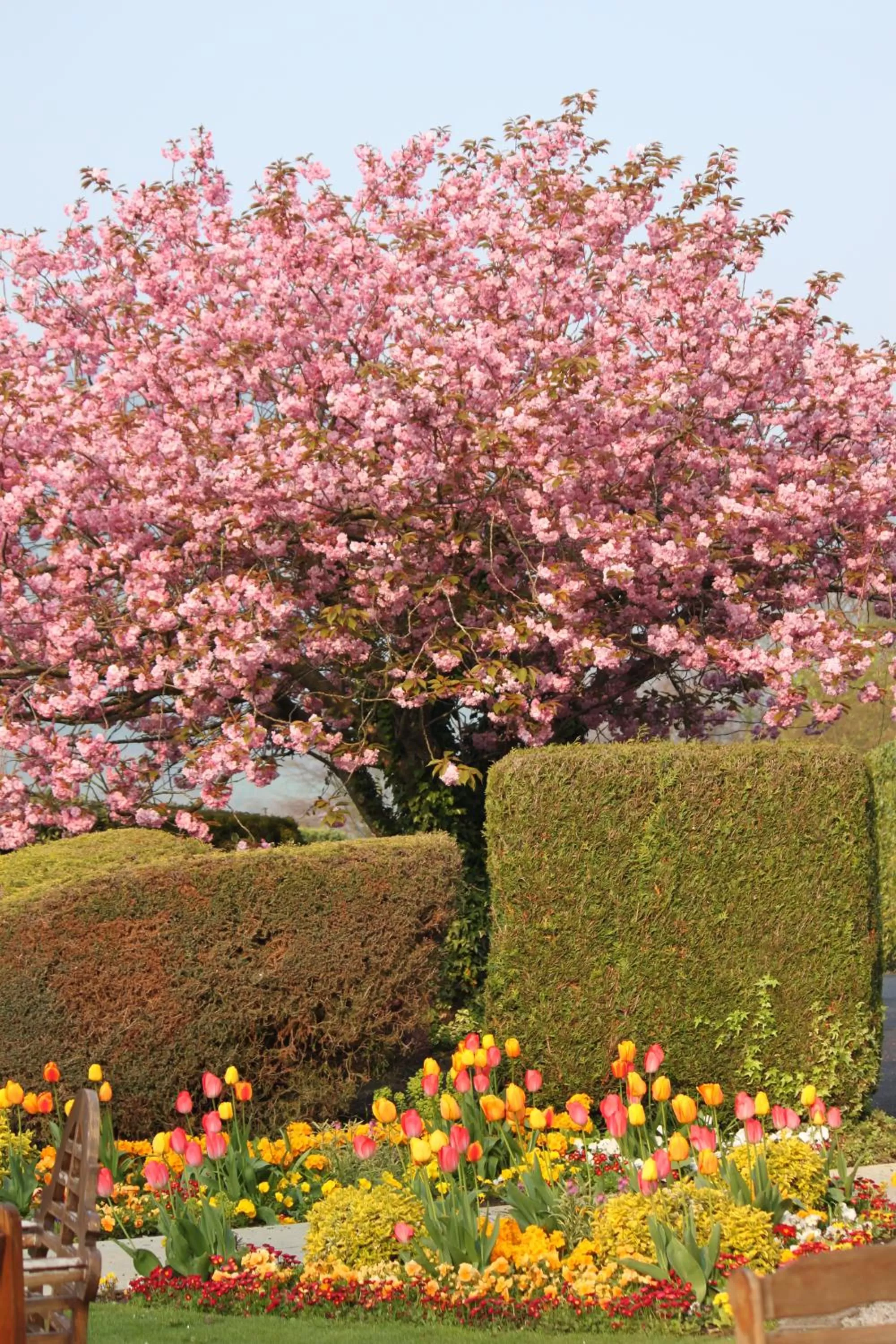 Spring in Lyzzick Hall Hotel