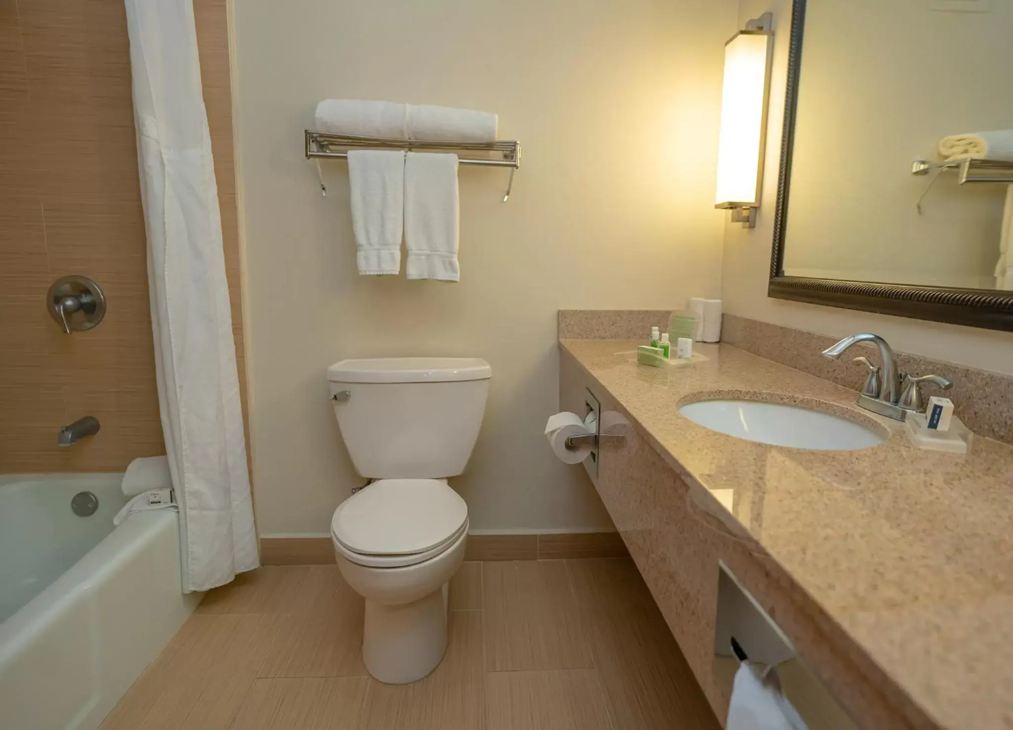 Toilet, Bathroom in Holiday Inn Mayaguez & Tropical Casino, an IHG Hotel