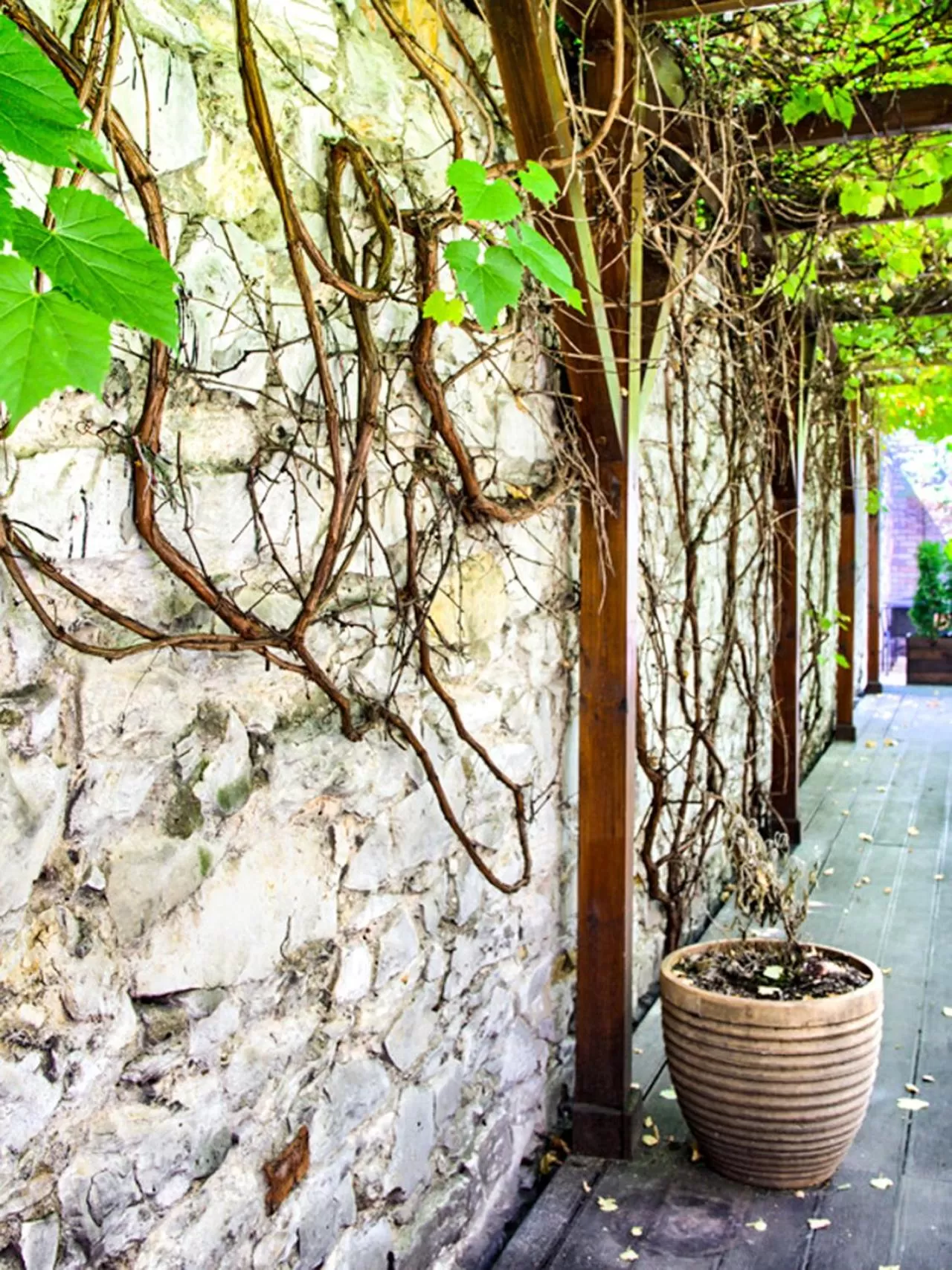 Property building in GRONO Apartamenty