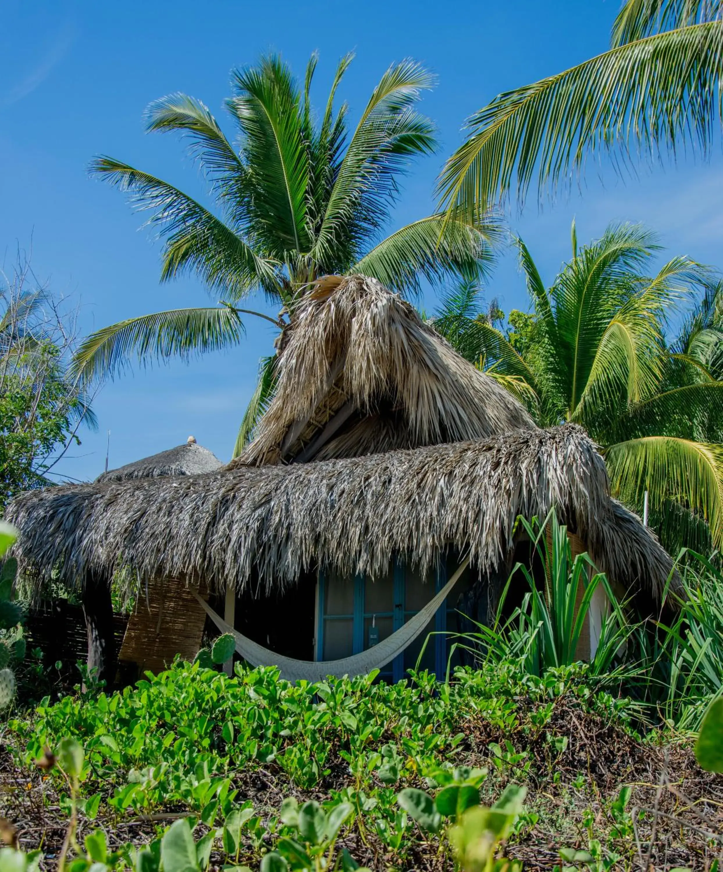 El Alquimista Yoga Spa