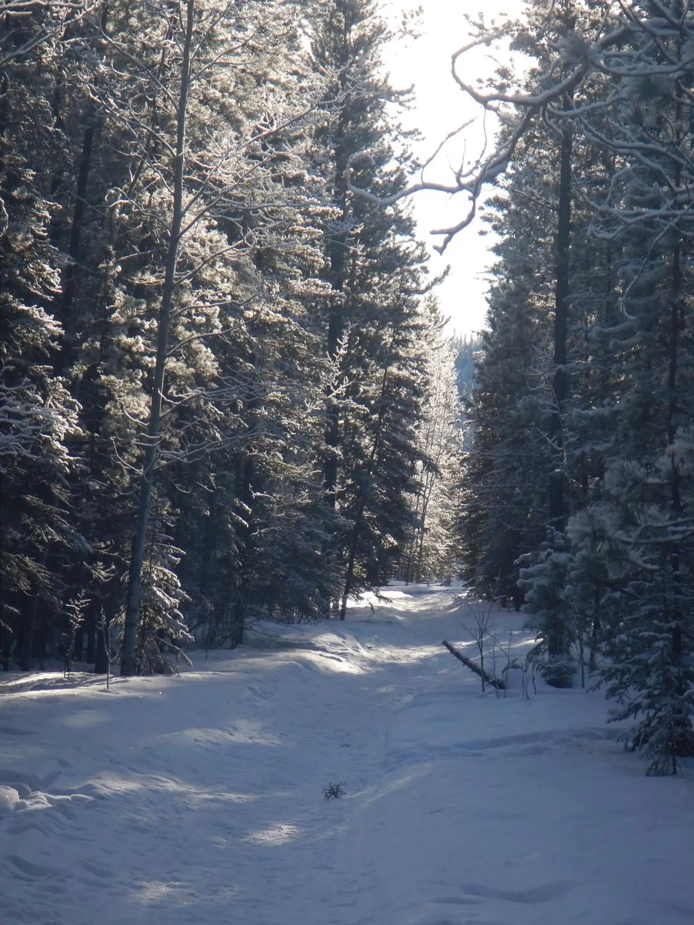 Area and facilities, Winter in Hidden Valley Bed and Breakfast