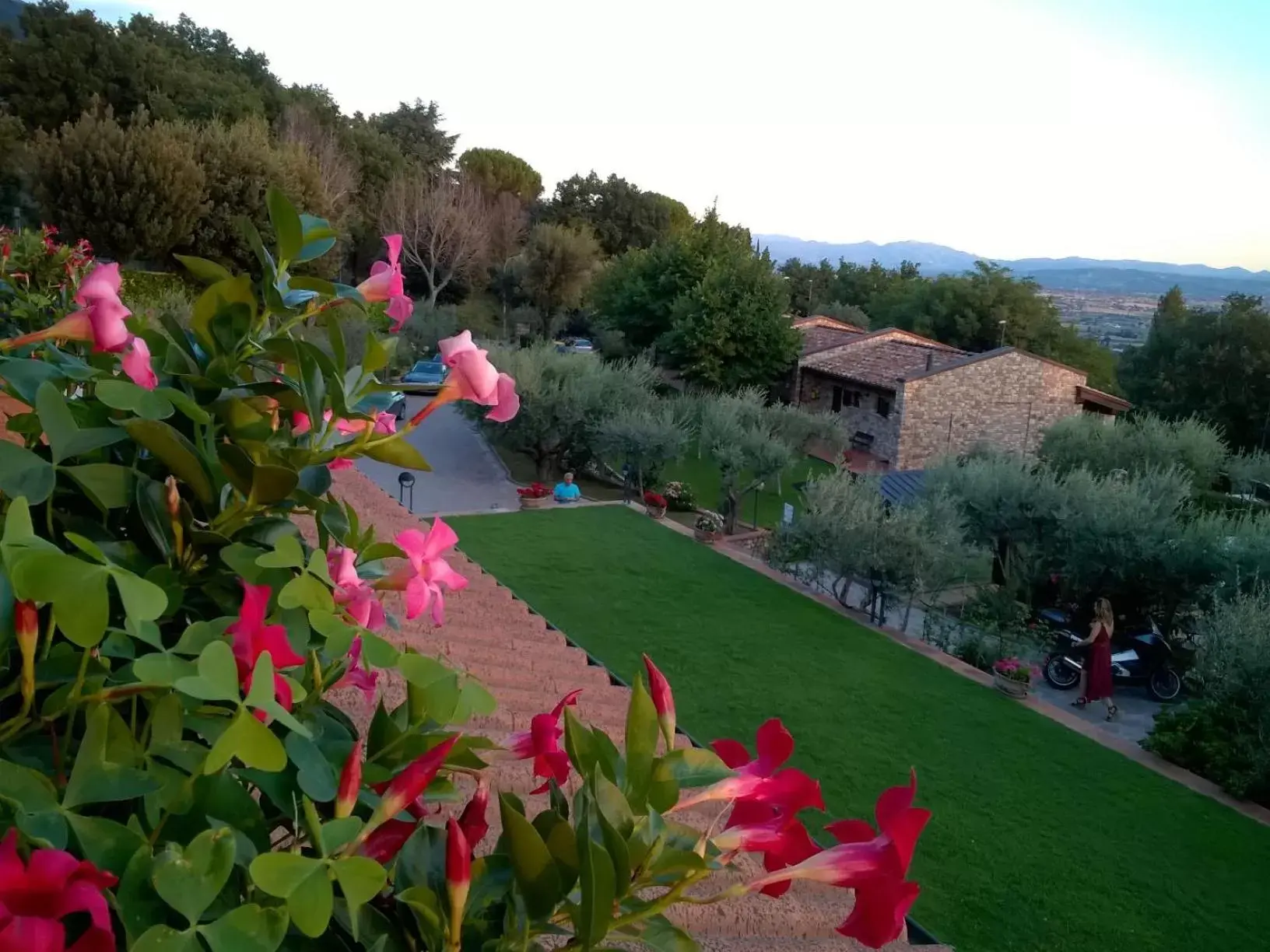 Garden view in Hotel La Terrazza RESTAURANT & SPA