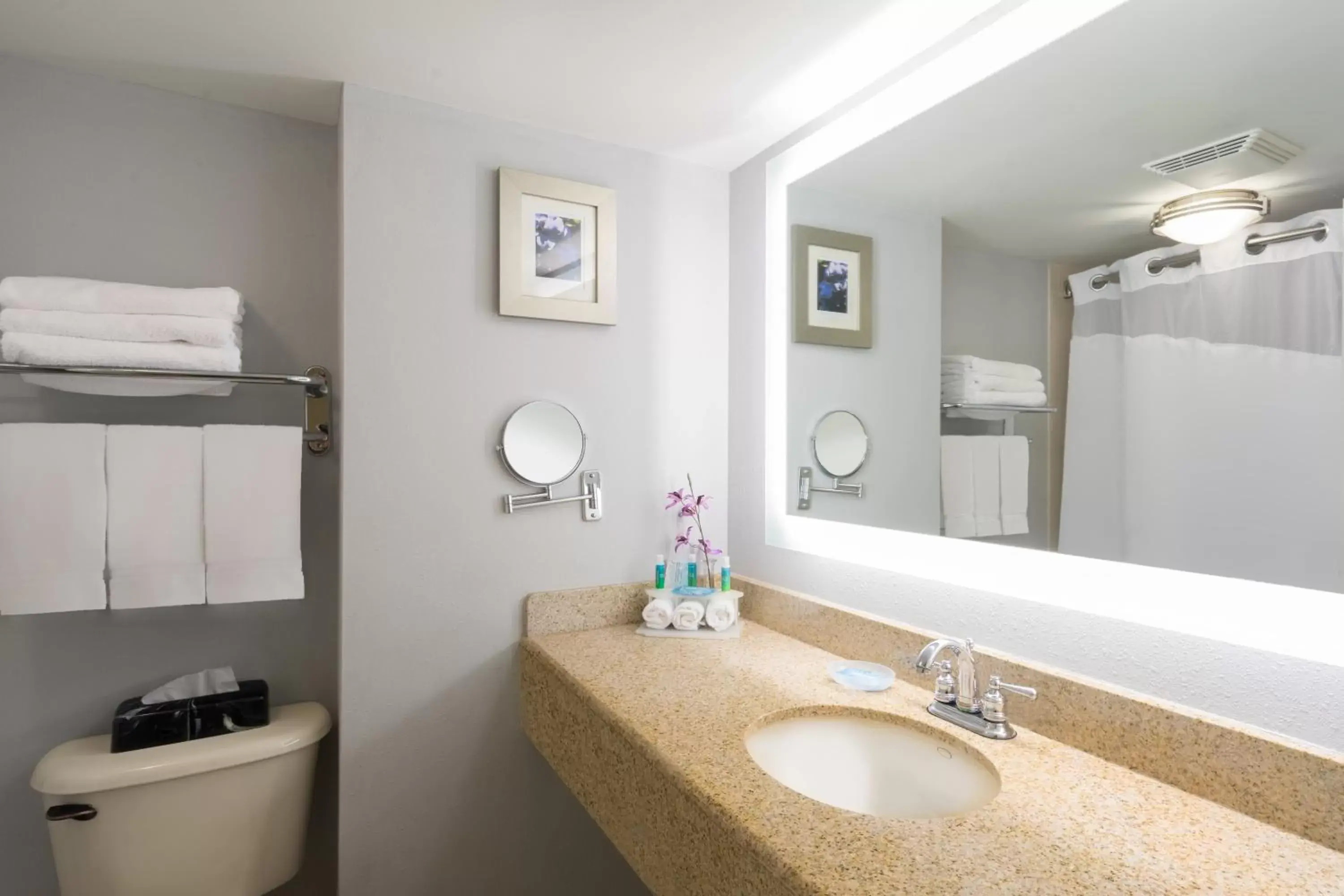 Bathroom in Holiday Inn Express Hotel & Suites Easton, an IHG Hotel