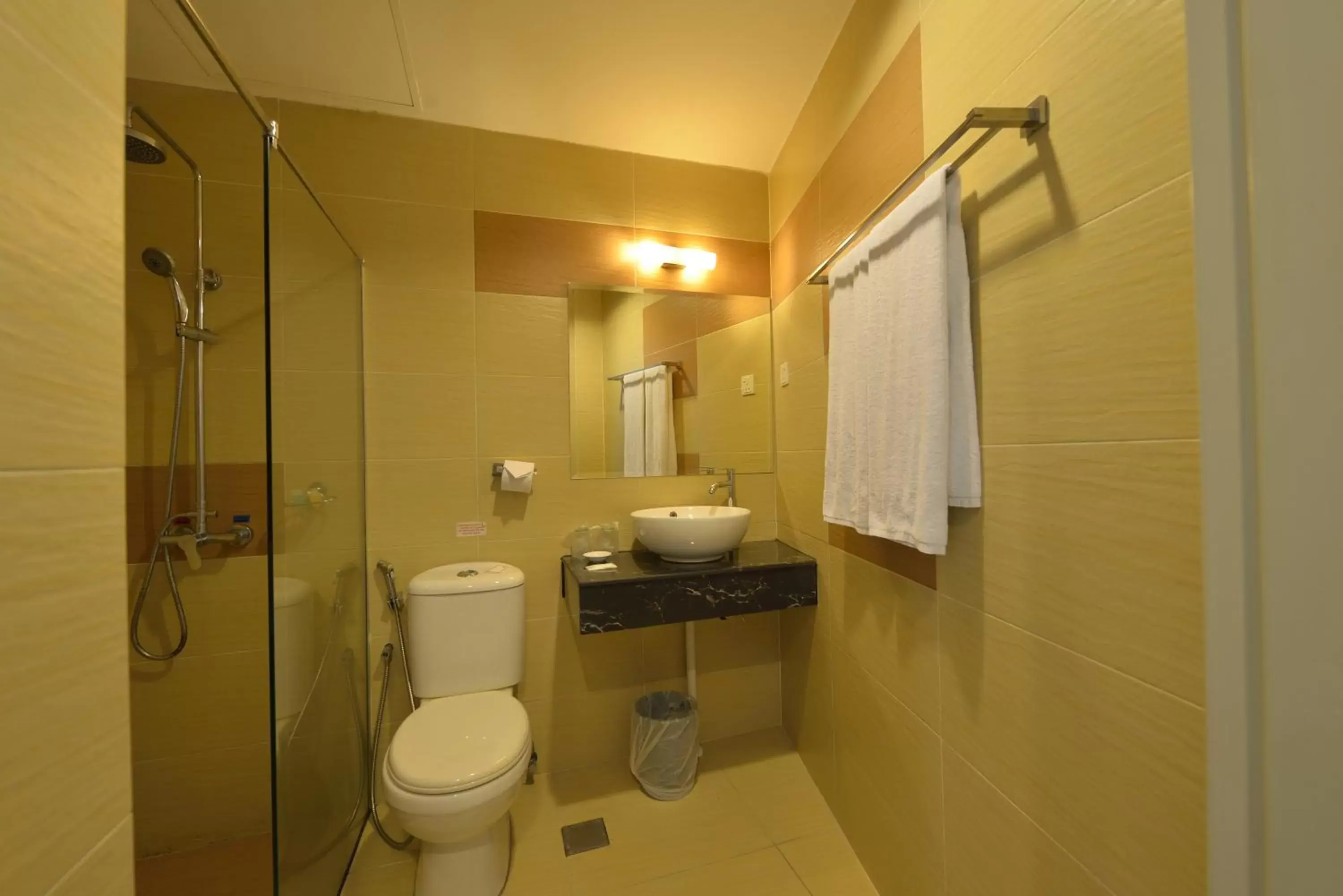 Shower, Bathroom in Abell Hotel