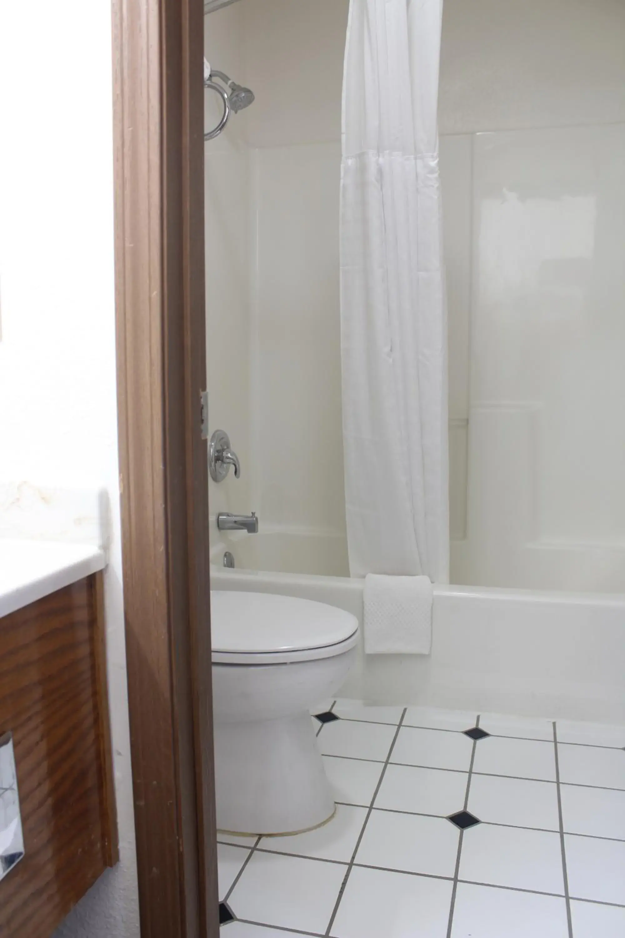 Shower, Bathroom in Rodeway Inn Tucumcari