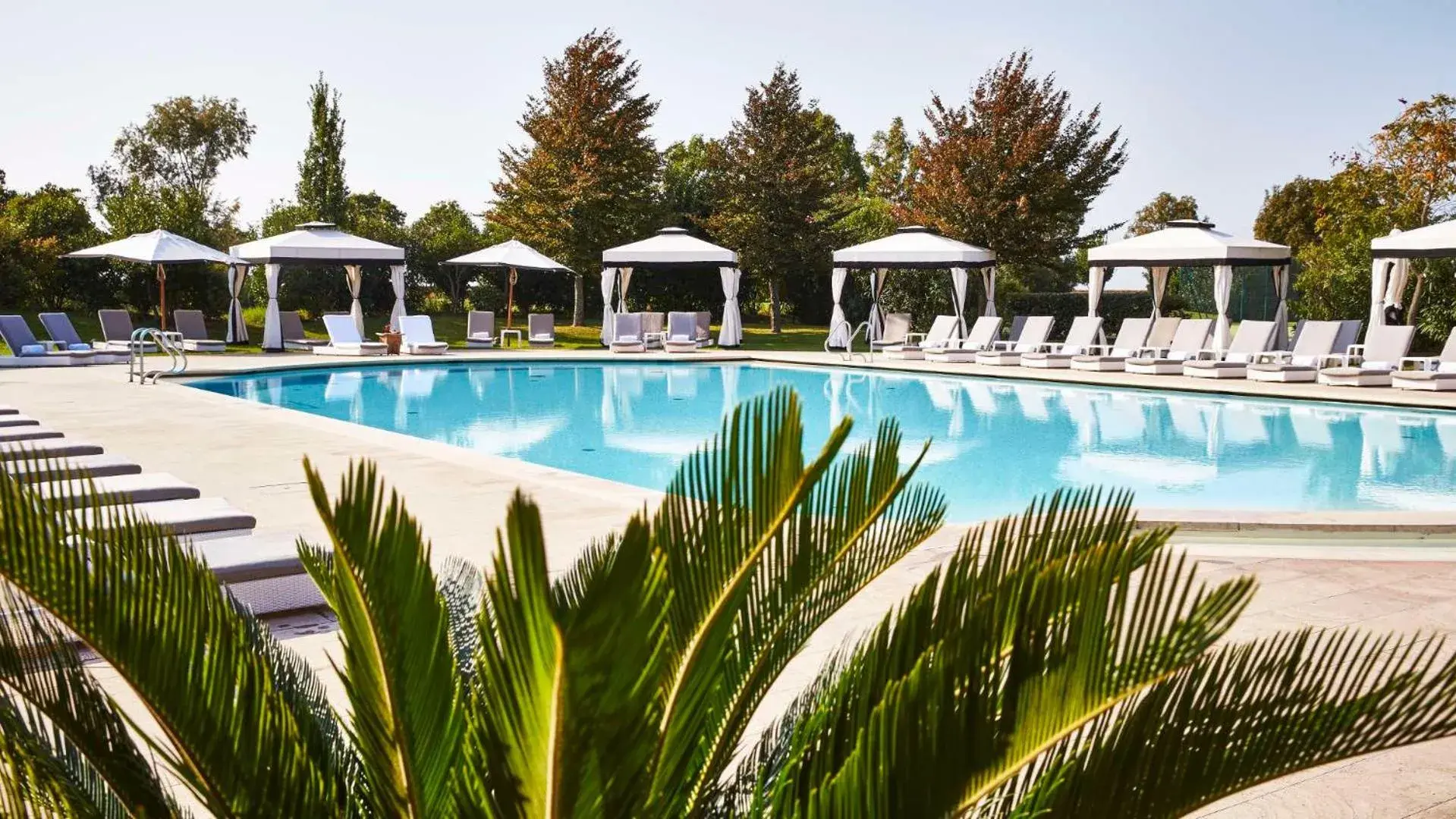 Pool view, Swimming Pool in San Clemente Palace Kempinski