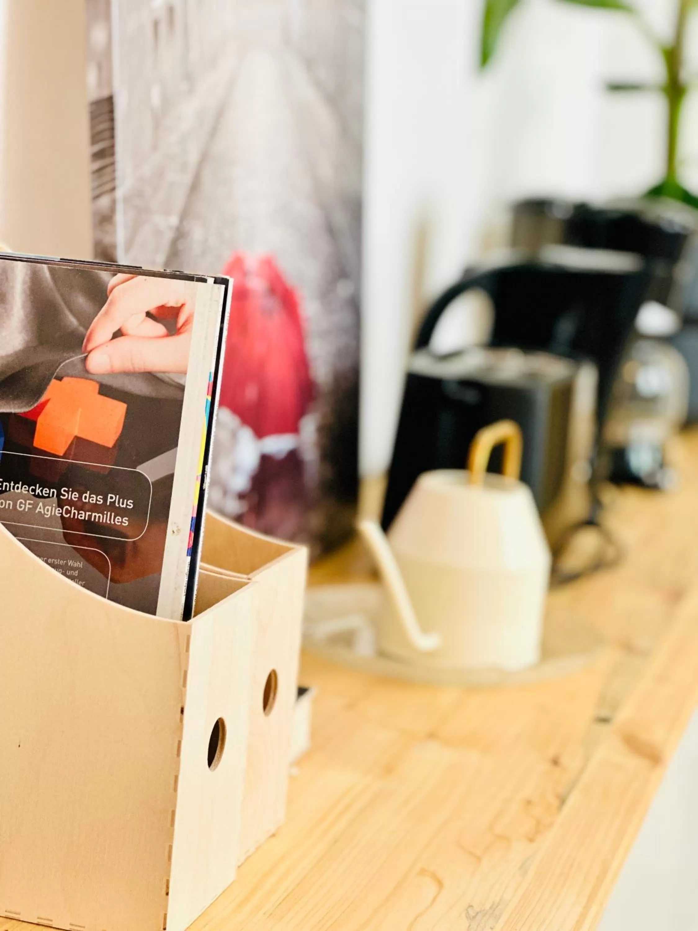 Saale, Marktplatz Zentrum, Apartmenthaus am Dom von Plant Room