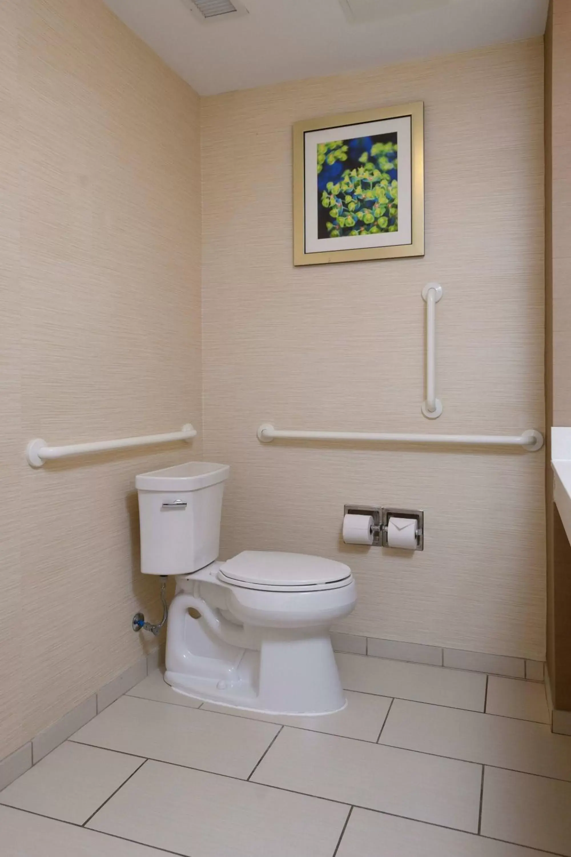 Bathroom in Fairfield Inn & Suites by Marriott Richmond Ashland