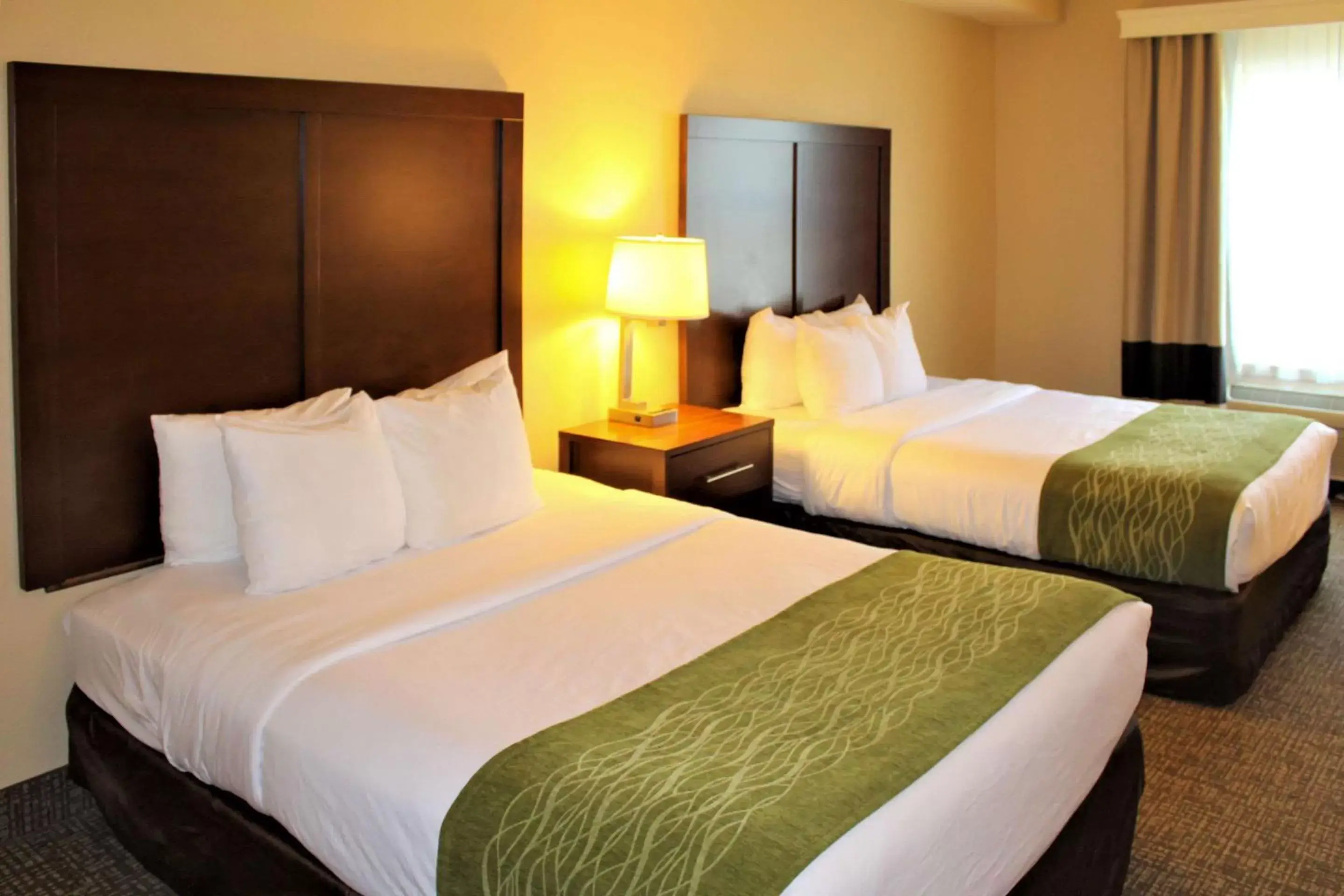 Photo of the whole room, Room Photo in Comfort Inn & Suites - Chesterfield