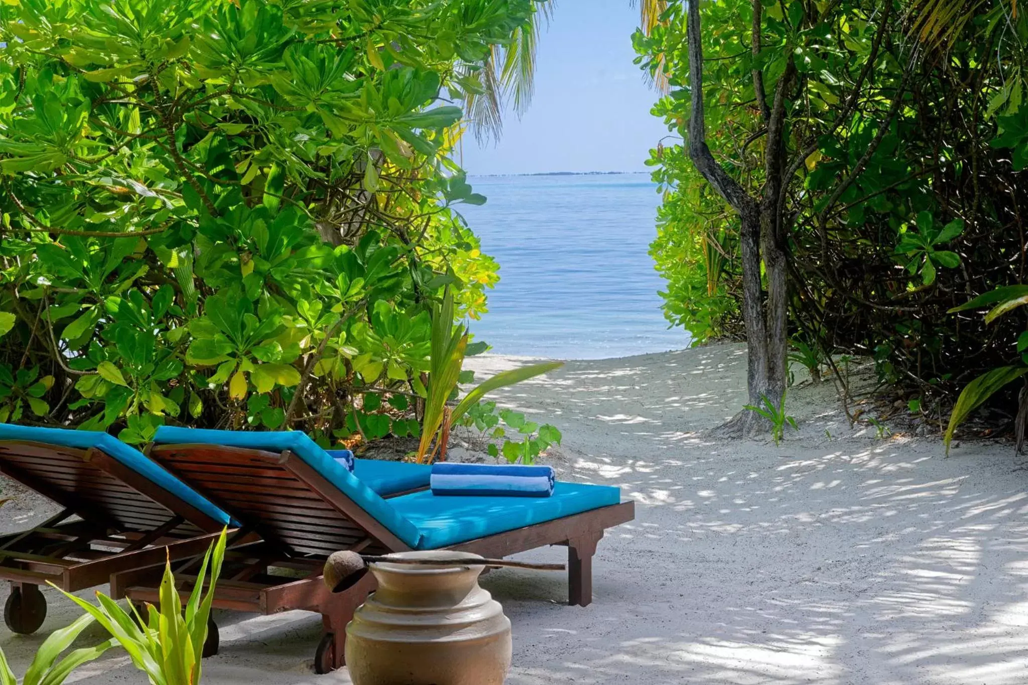 Beach in Canareef Resort Maldives