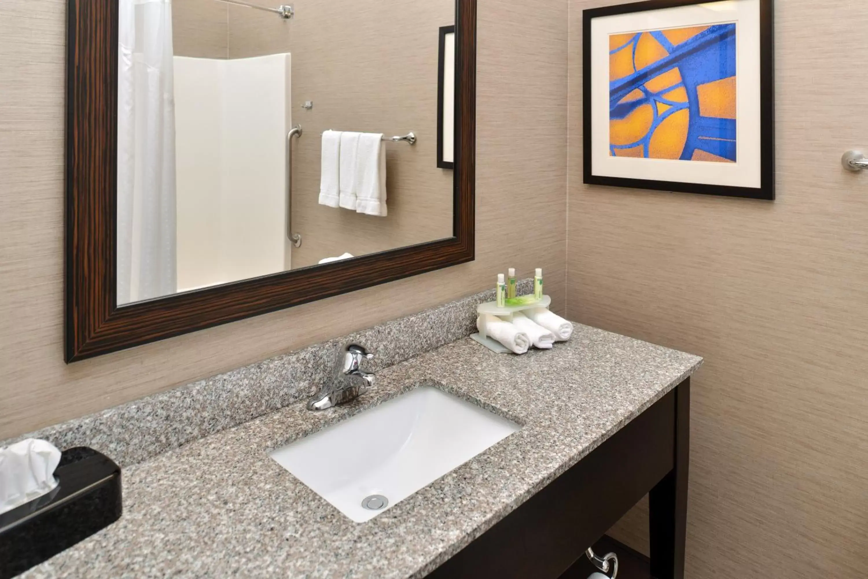 Bathroom in Holiday Inn Express Hotel & Suites St. Louis West-O'Fallon, an IHG Hotel