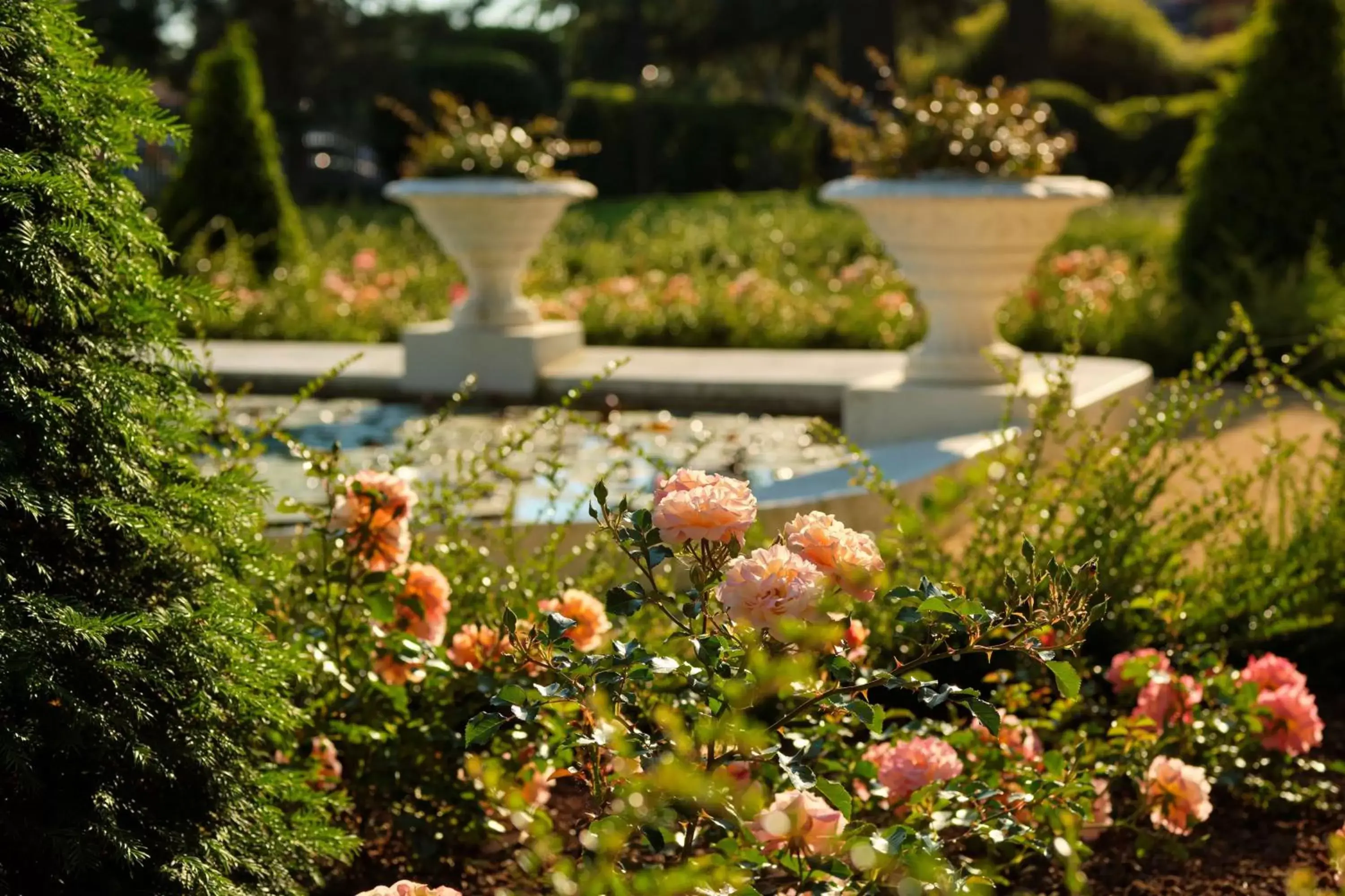 Garden in Hotel Kempinski Palace Portorož