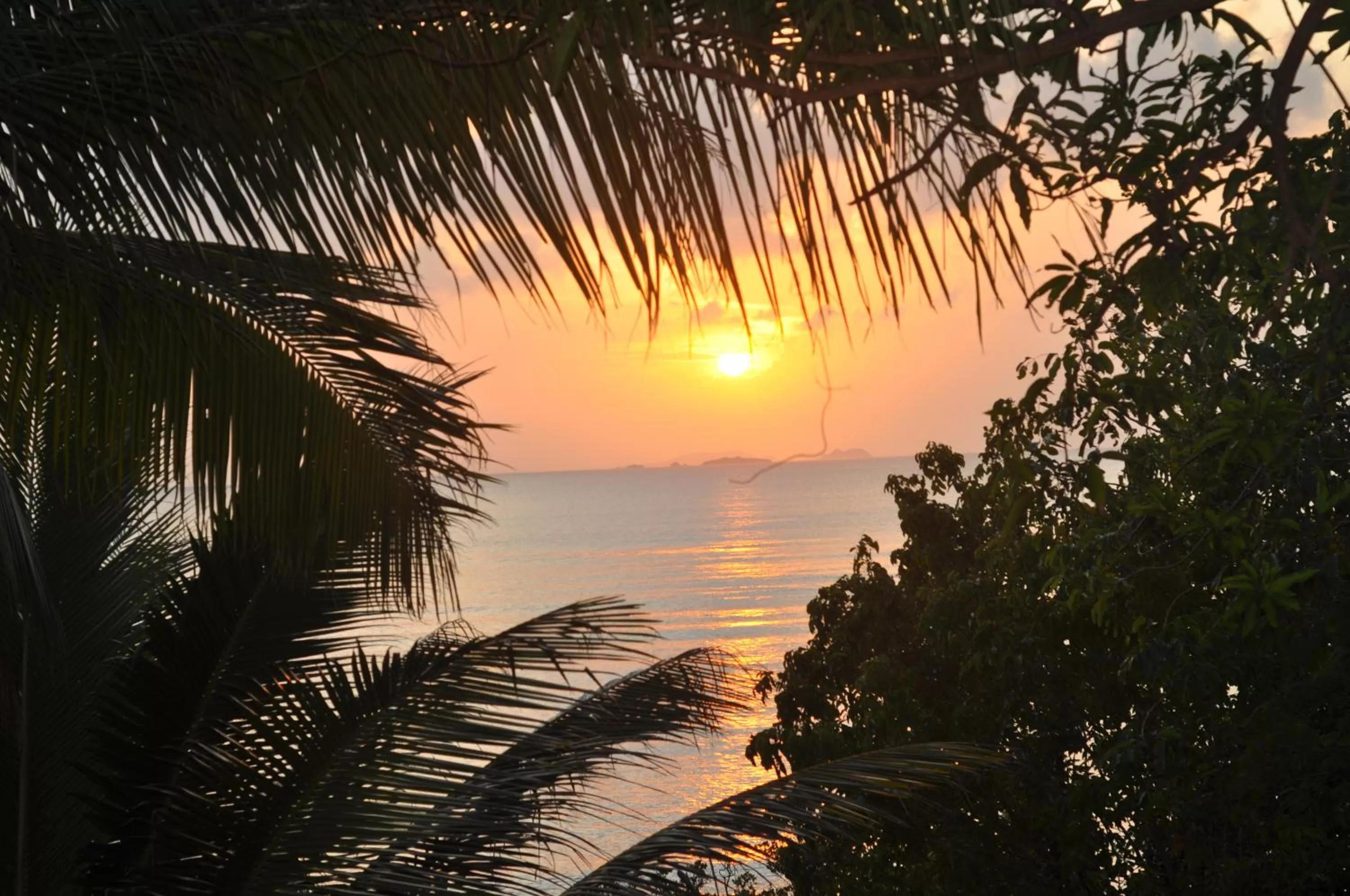 View (from property/room) in Cocovana Beach Resort