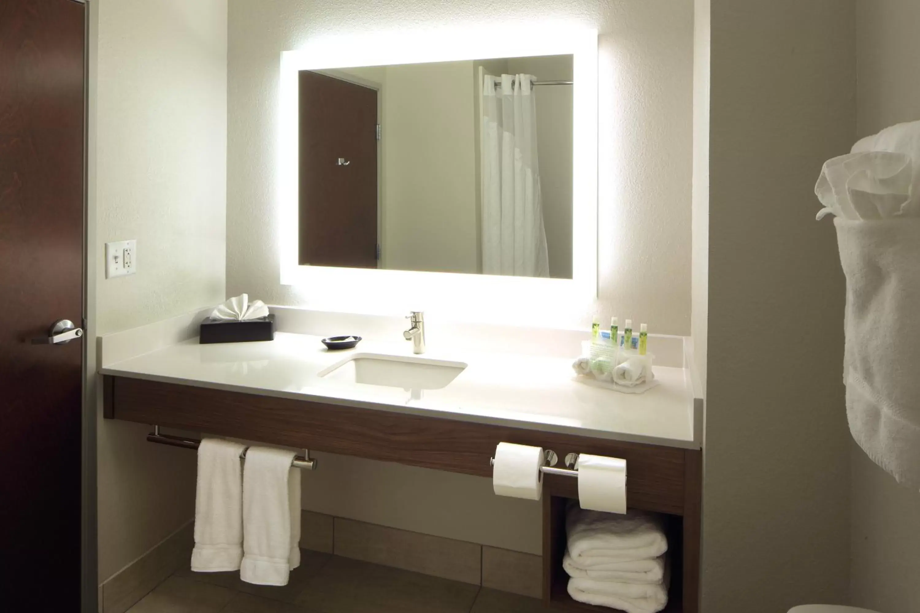 Bathroom in Holiday Inn Express Hotel & Suites Atlanta Airport West - Camp Creek, an IHG Hotel
