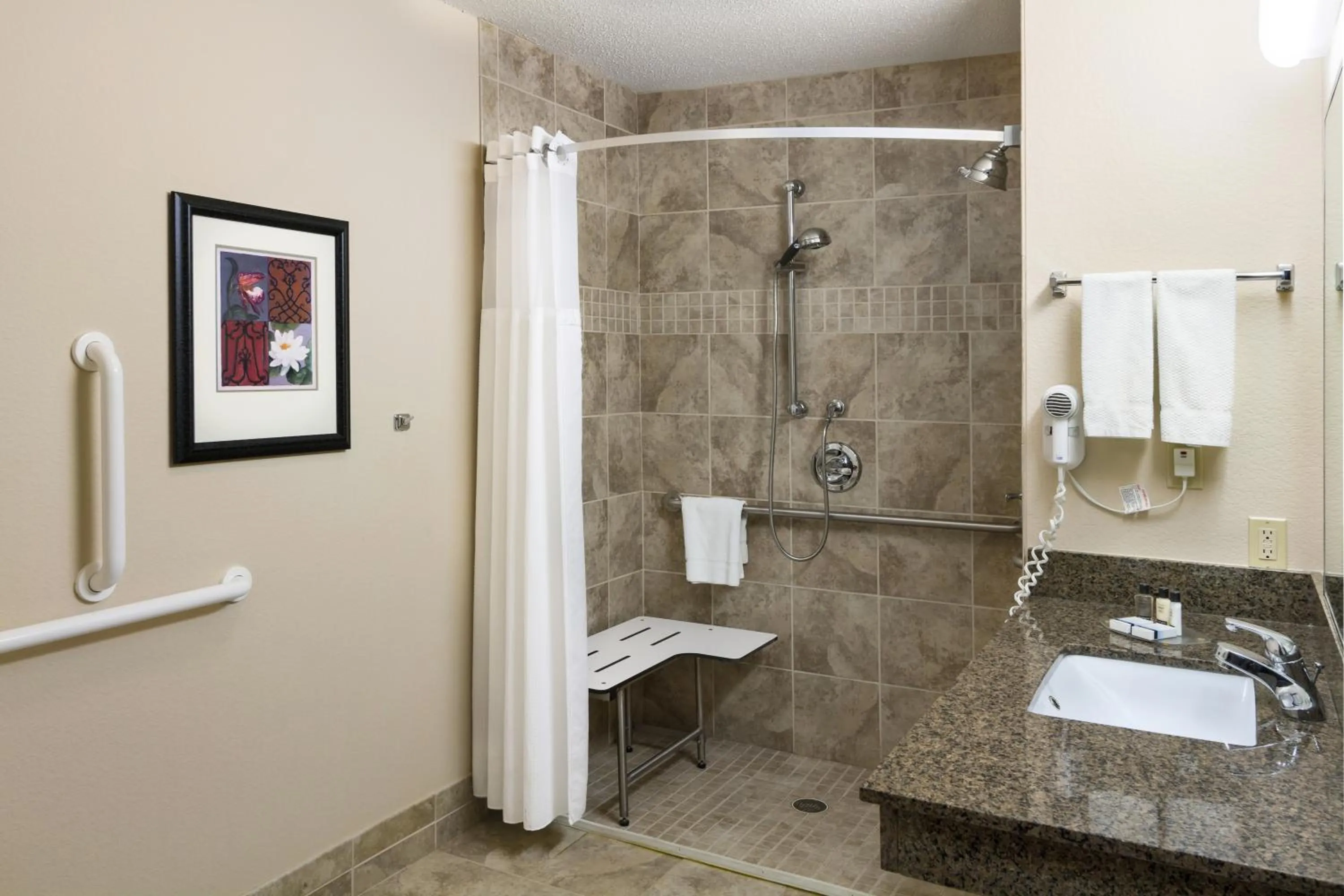 King Suite - Disability Access in Aspen Suites - Rochester