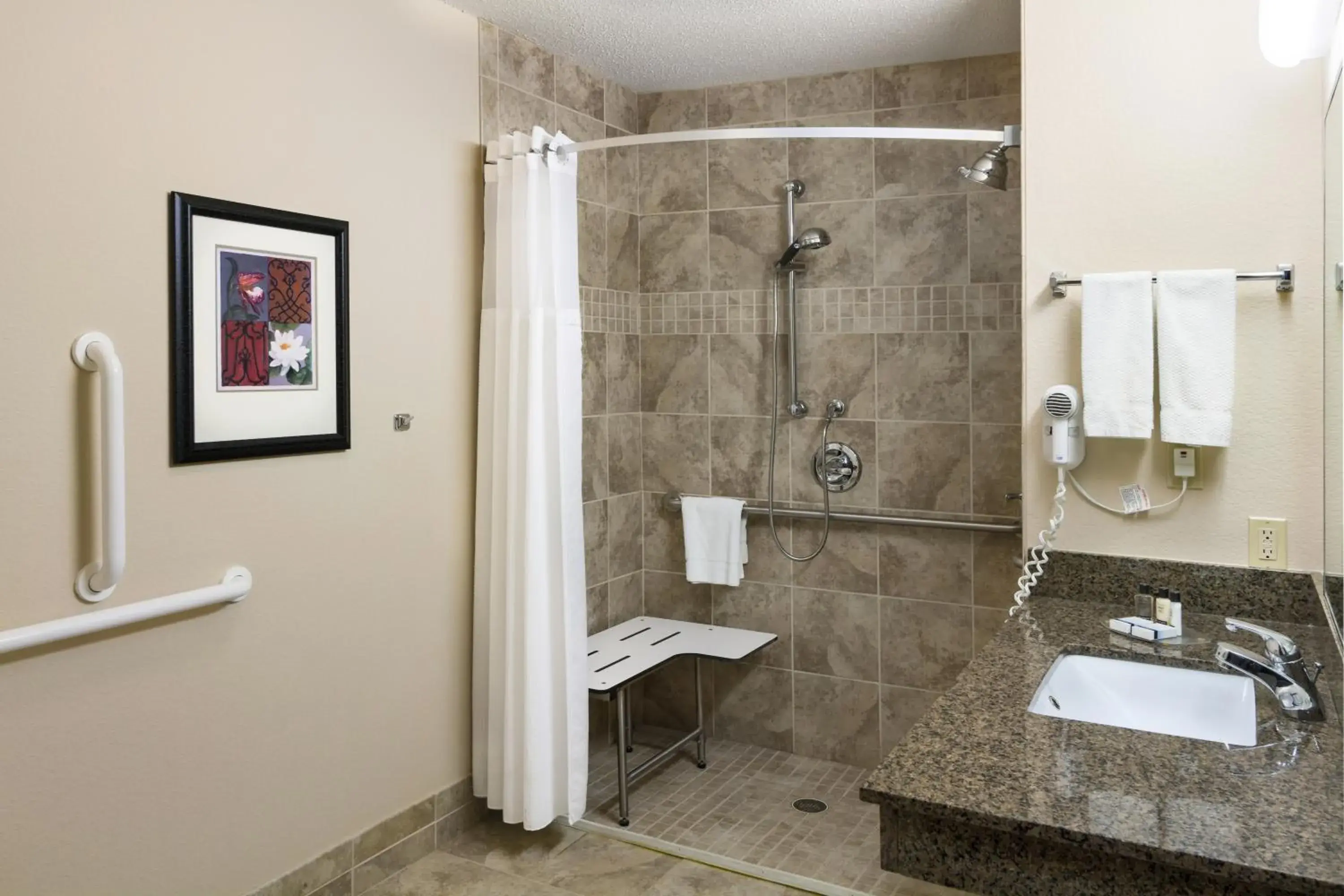 Shower, Bathroom in Aspen Suites - Rochester