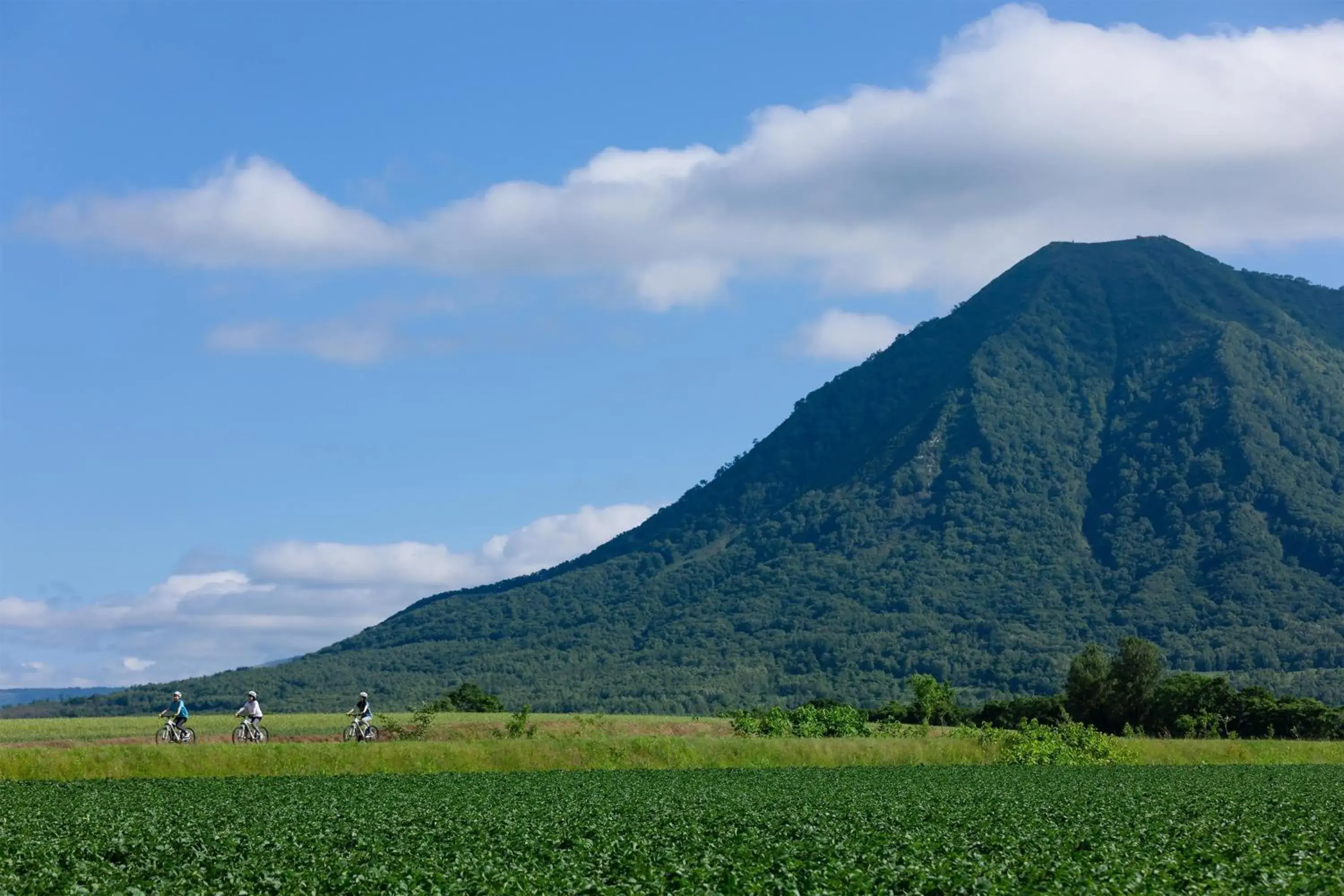 Other, Natural Landscape in The Westin Rusutsu Resort