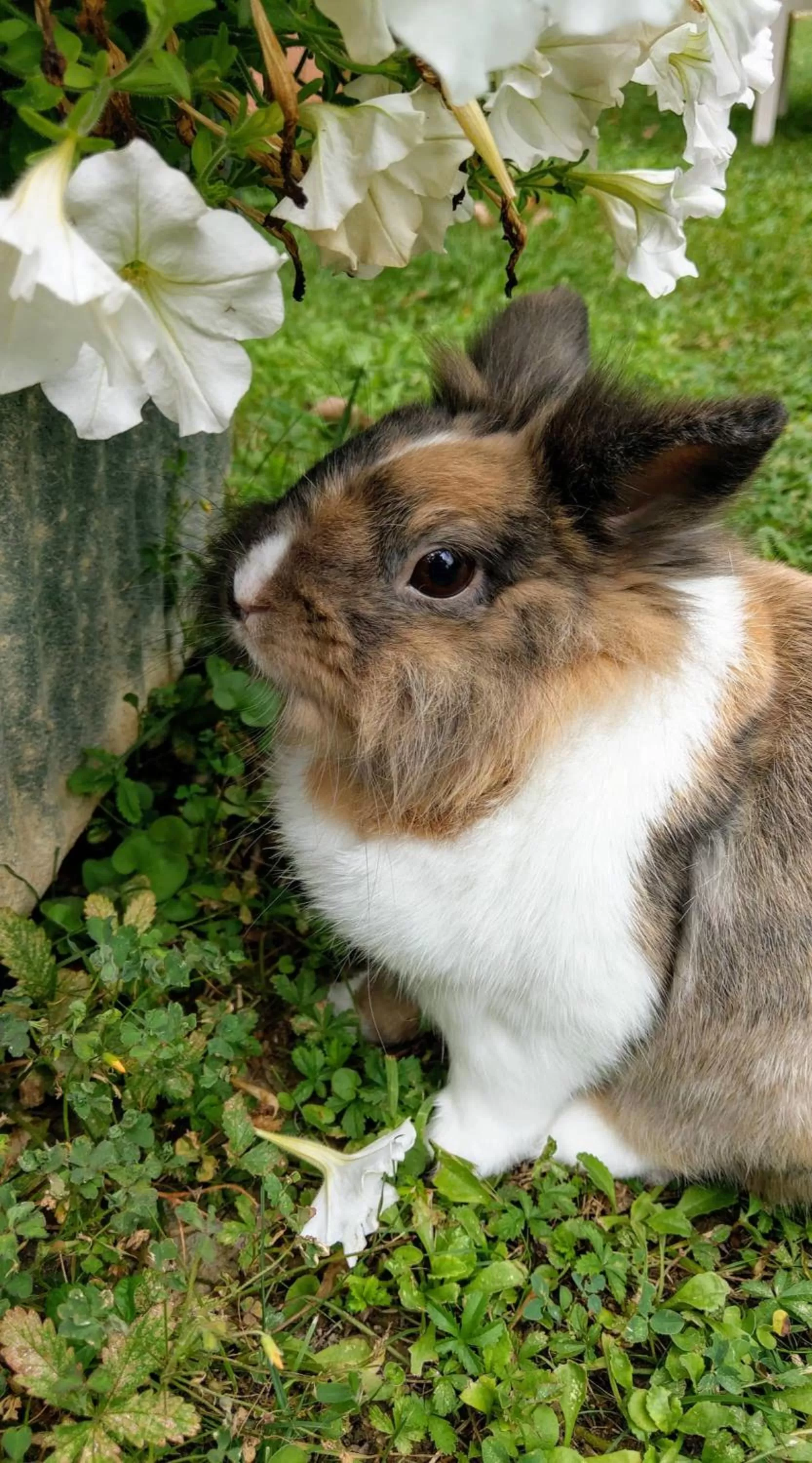 Other in B&B Casa Camilla