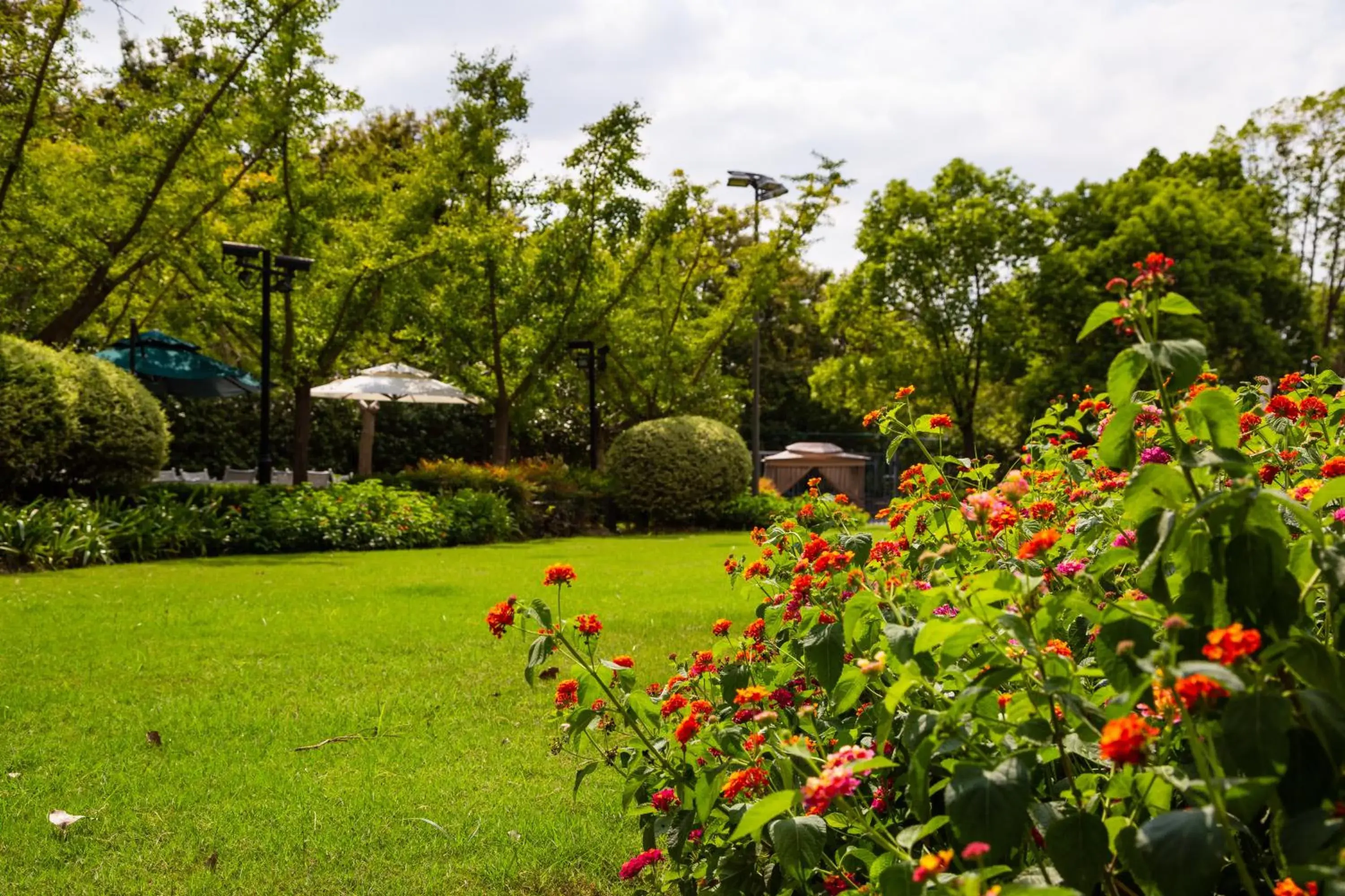 Garden in The Senz Hotel & SPA