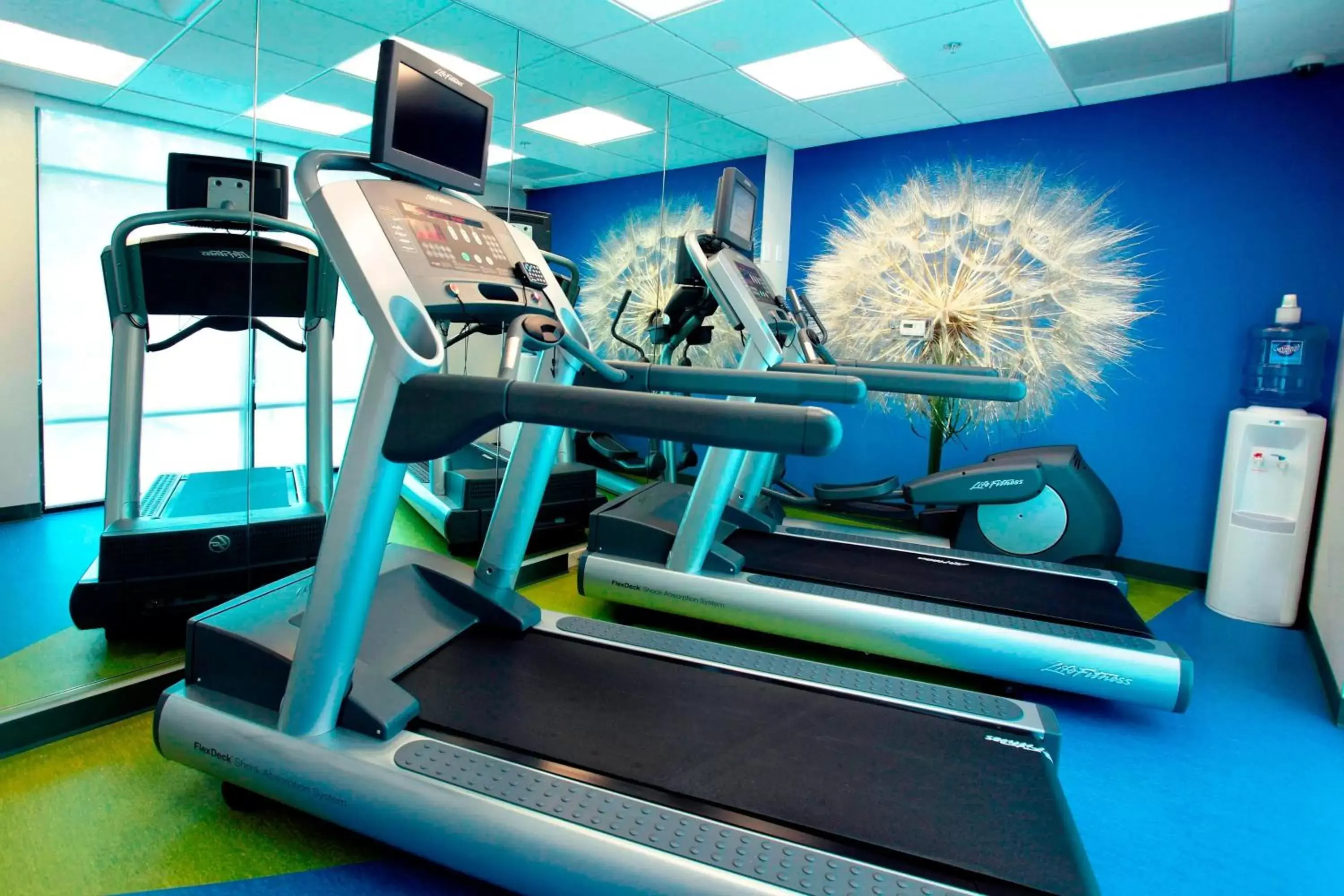 Fitness centre/facilities, Fitness Center/Facilities in SpringHill Suites by Marriott Athens West