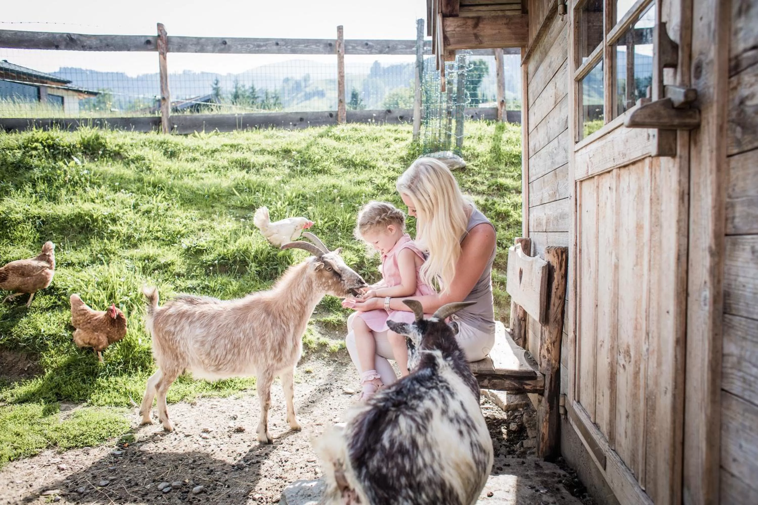 Animals in Hotel AlpenSchlössl