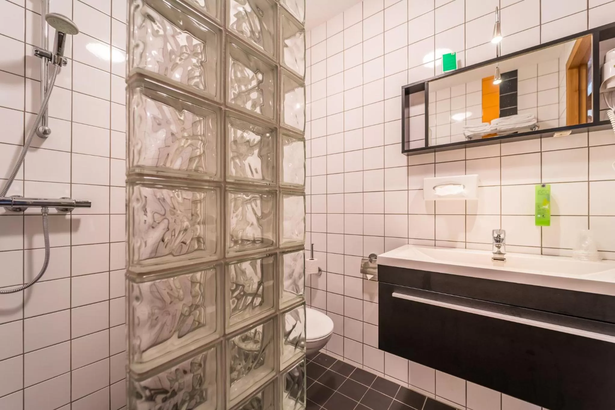 Shower in Hotel Inn Salland