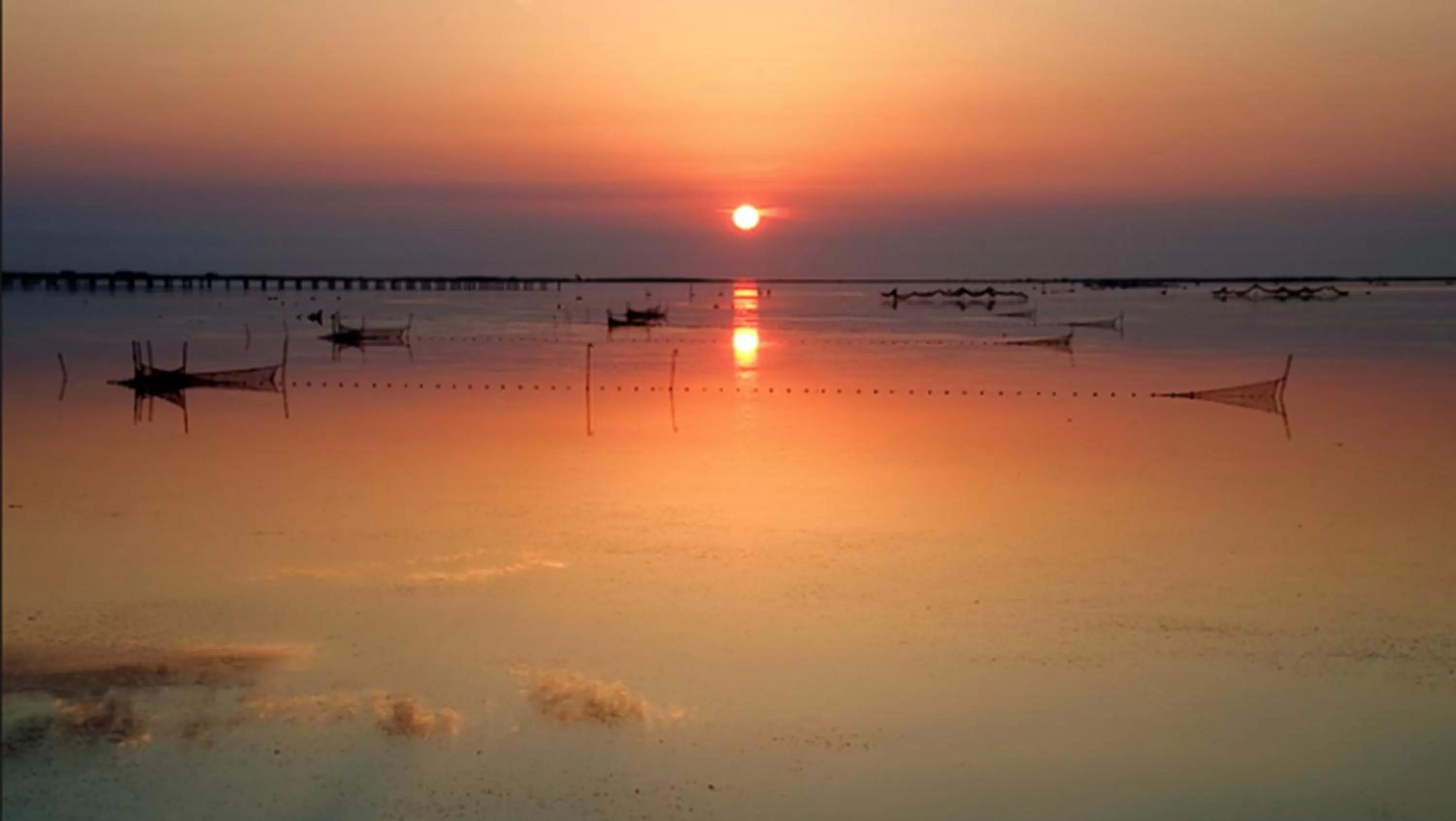 Natural landscape in Delta Hotel
