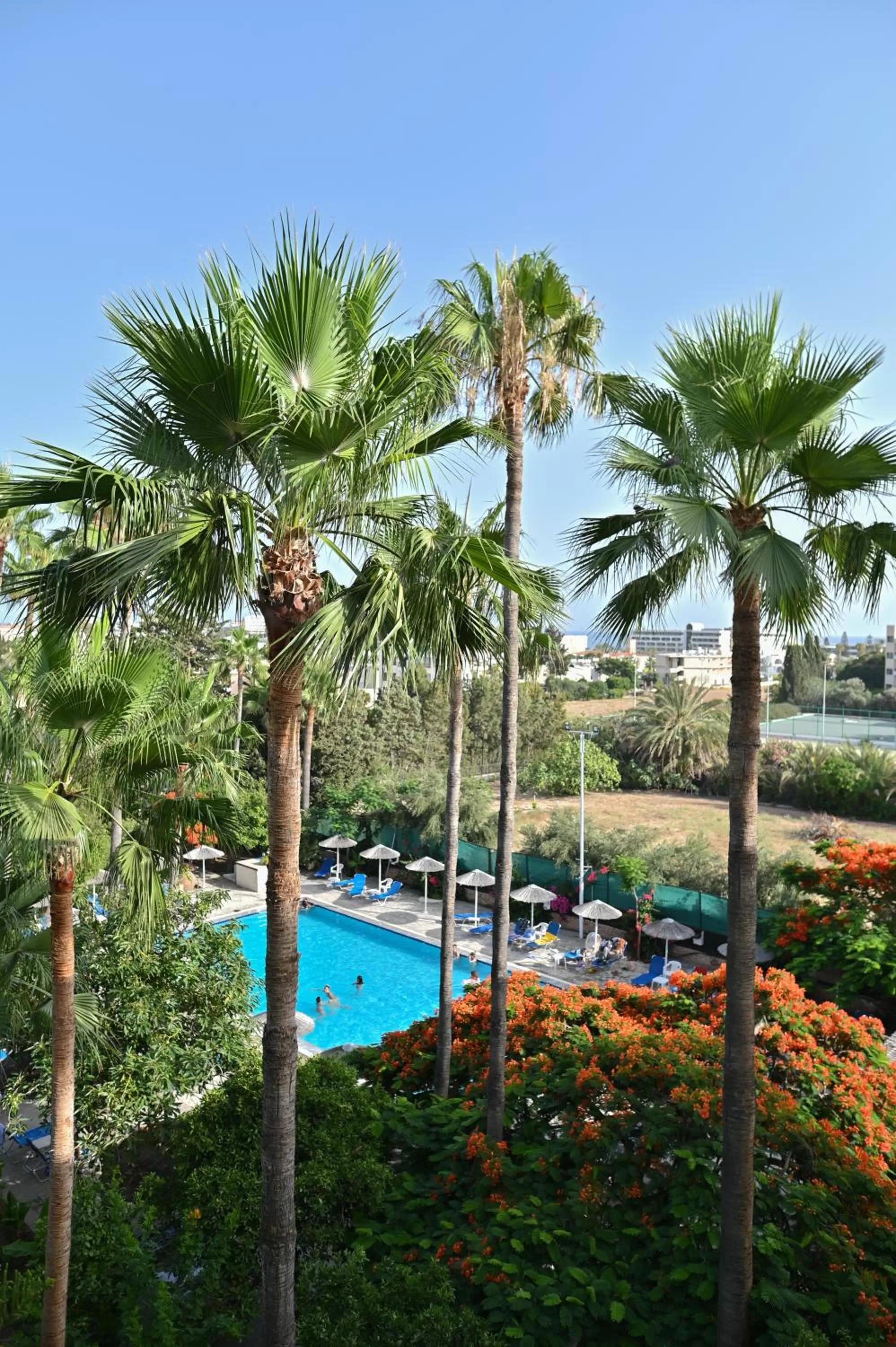 Garden in Veronica Hotel