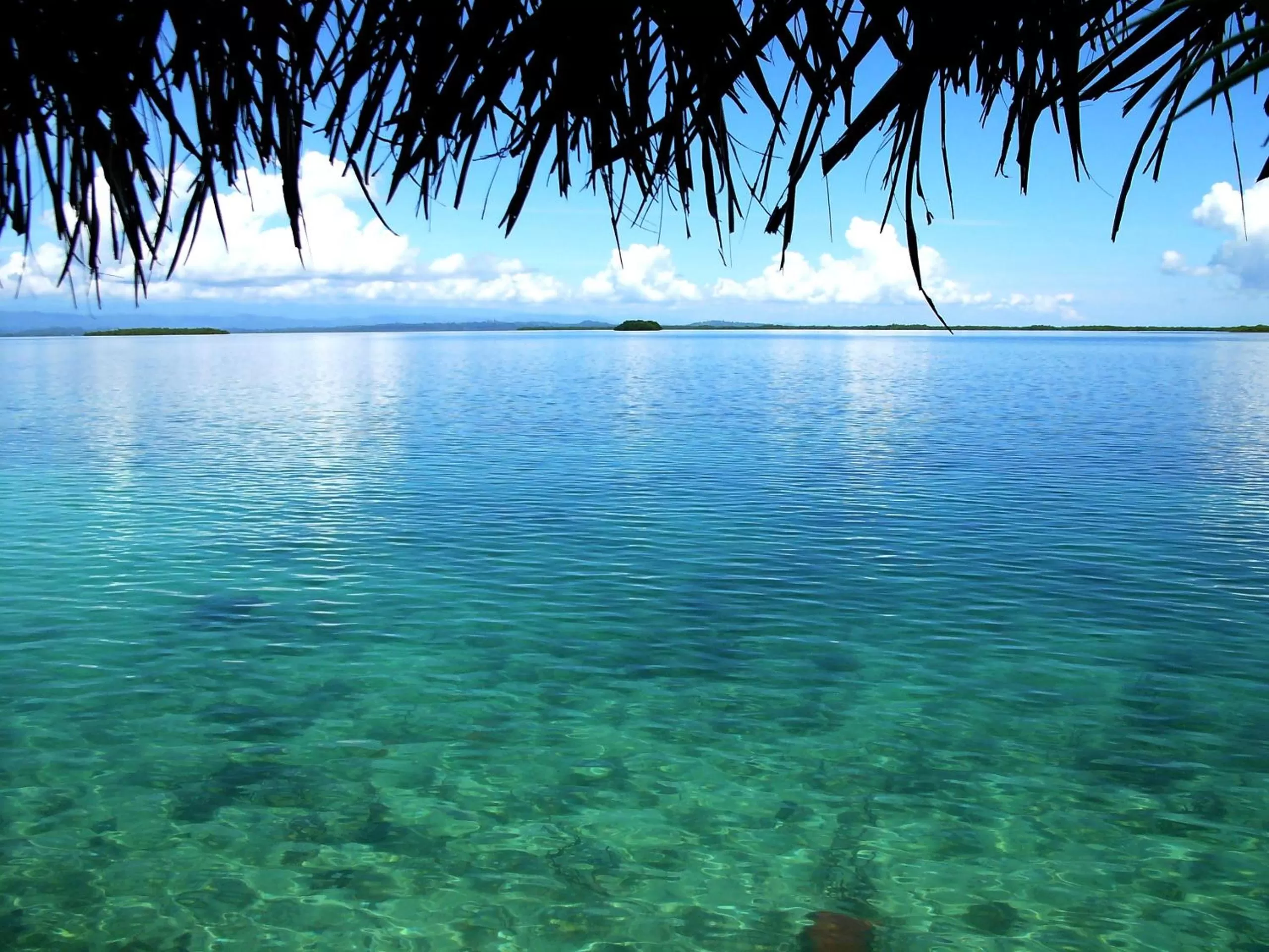 Sea view in Punta Caracol Acqua Lodge