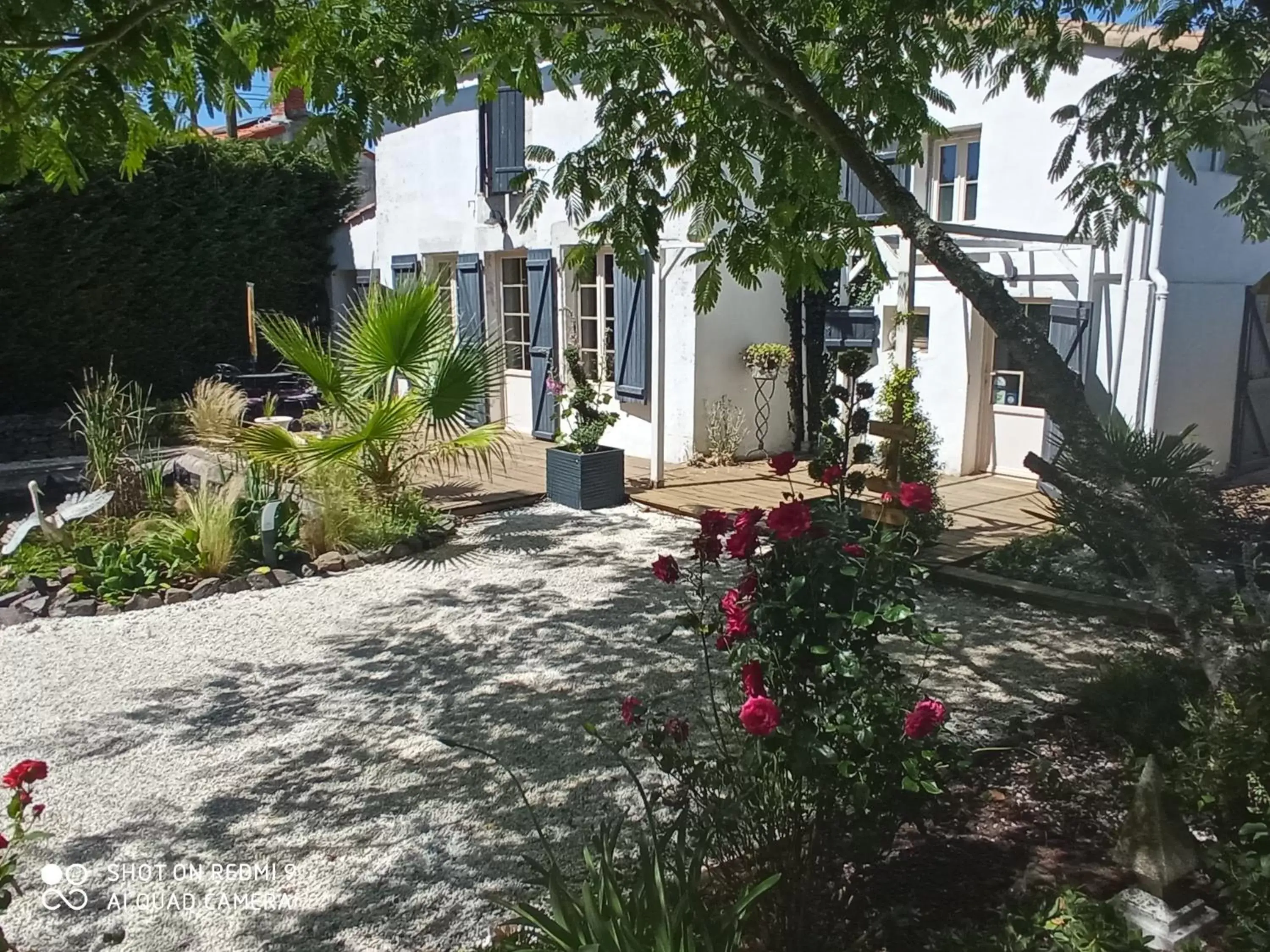 Swimming pool, Property Building in Mas des Vignes Piscine chauffée