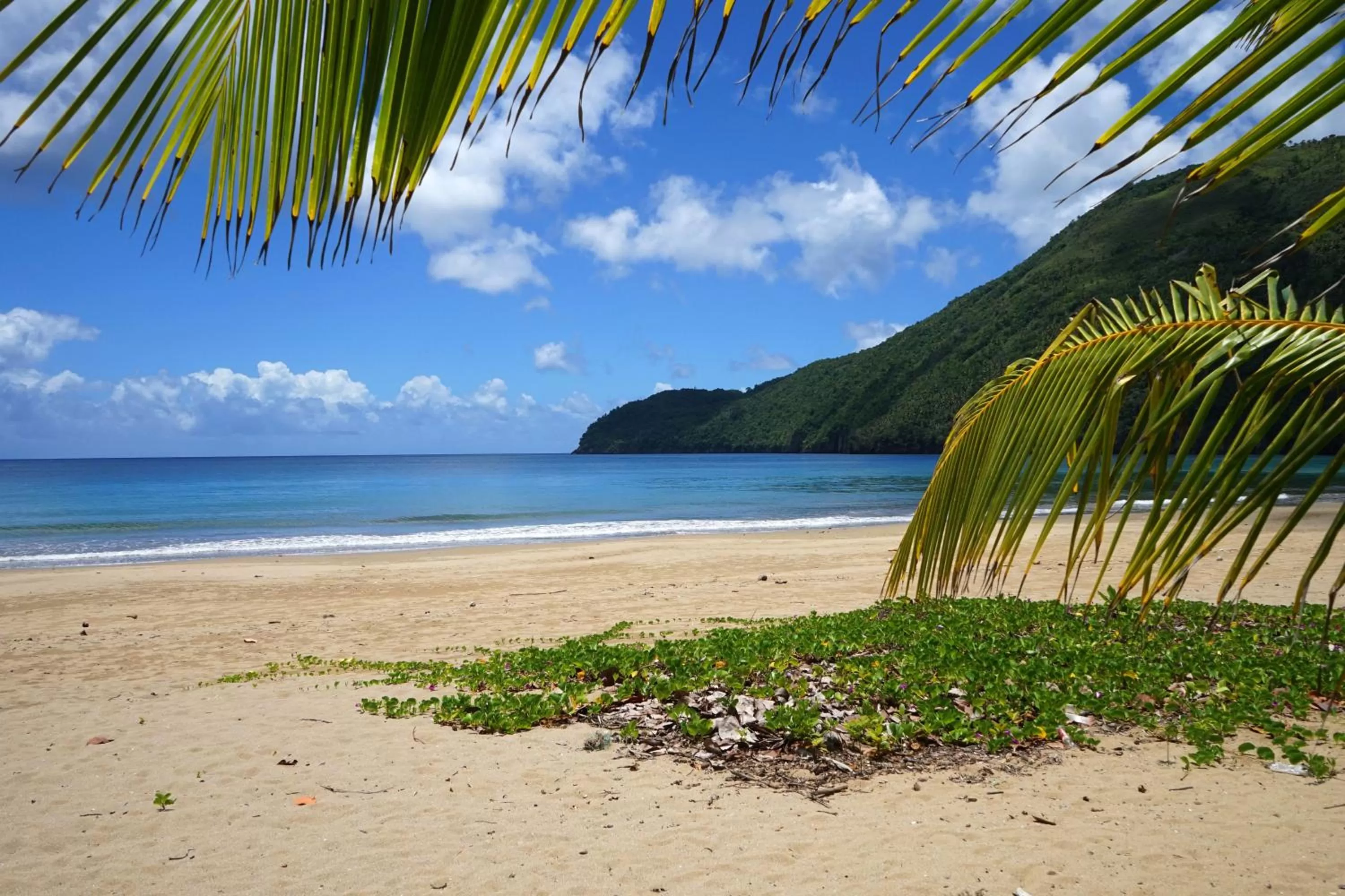 Beach in Dominican Tree House Village