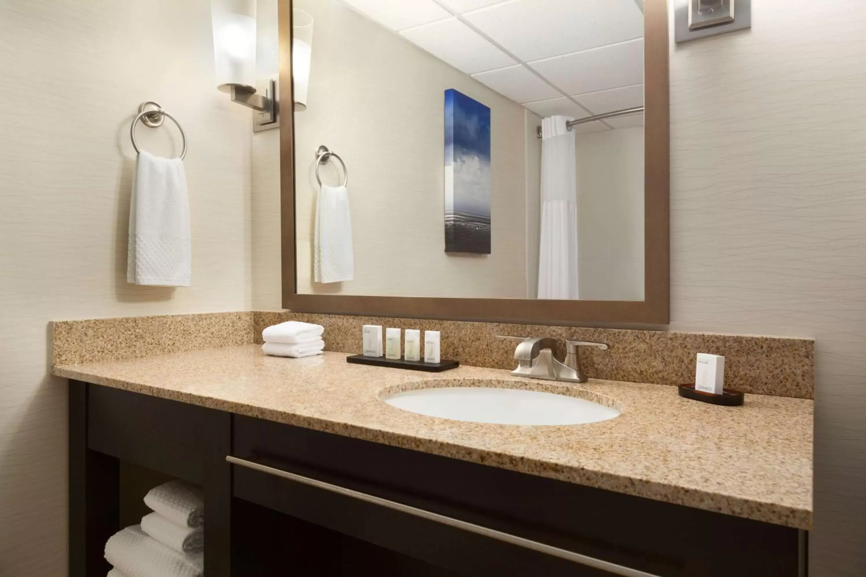 Bathroom in Embassy Suites by Hilton Oklahoma City Will Rogers Airport