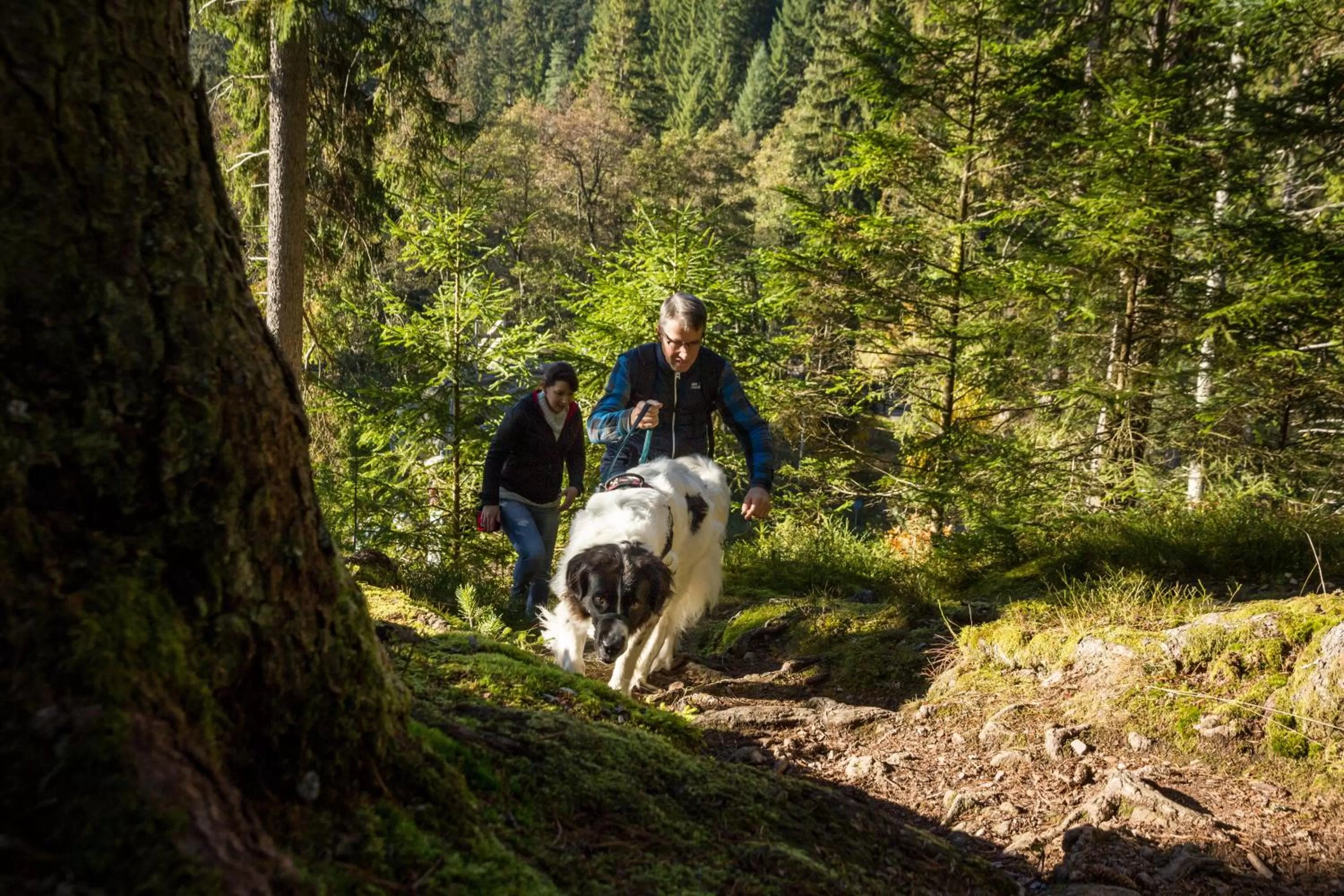 Nearby landmark in Holiday Inn - Villingen - Schwenningen by IHG