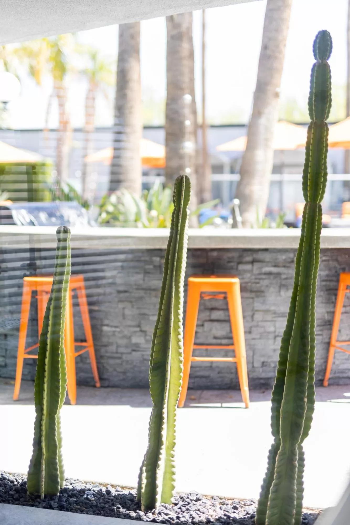 Lobby or reception in The Palm Springs Hotel