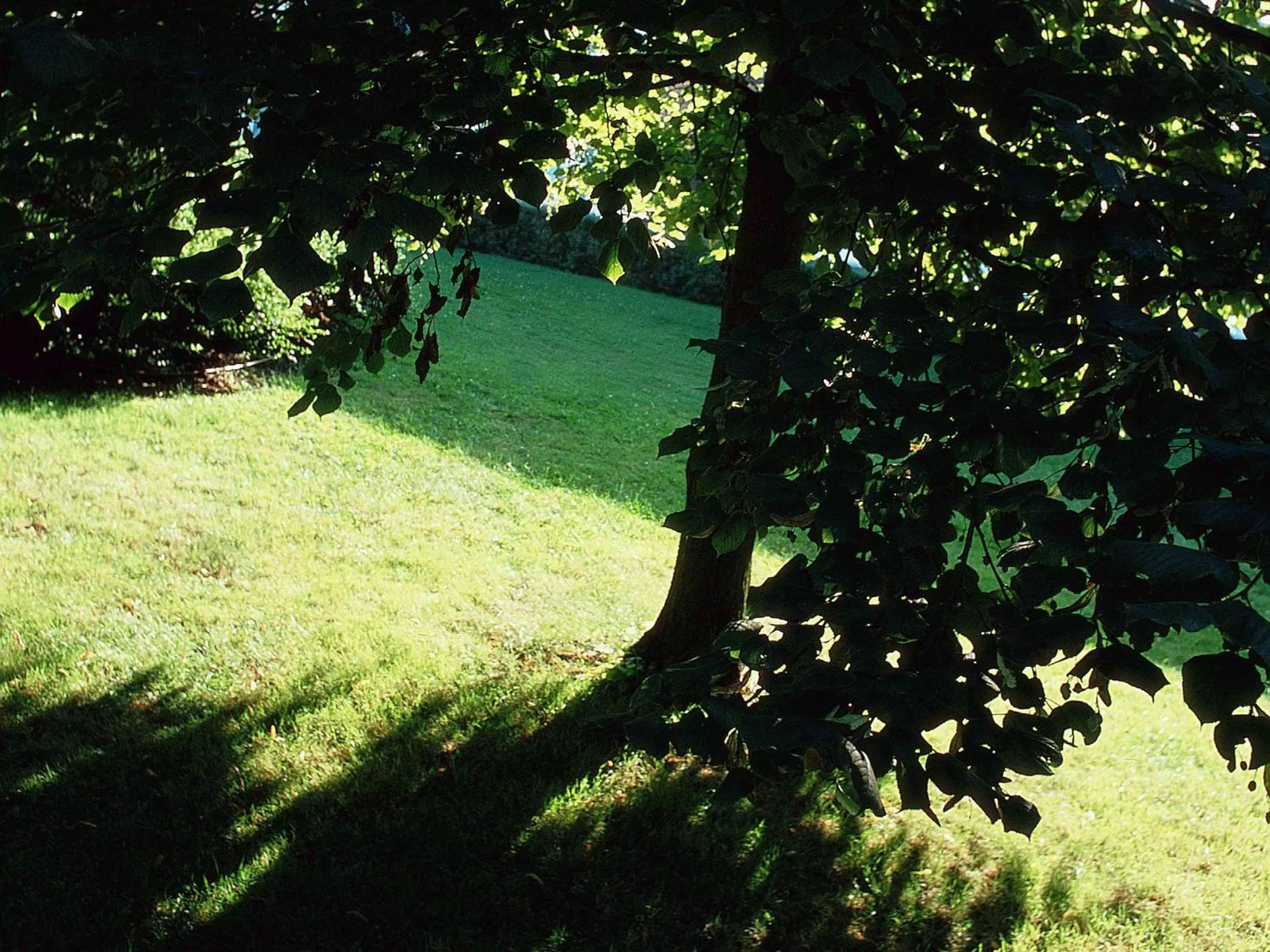 On site in Novotel Metz Amnéville