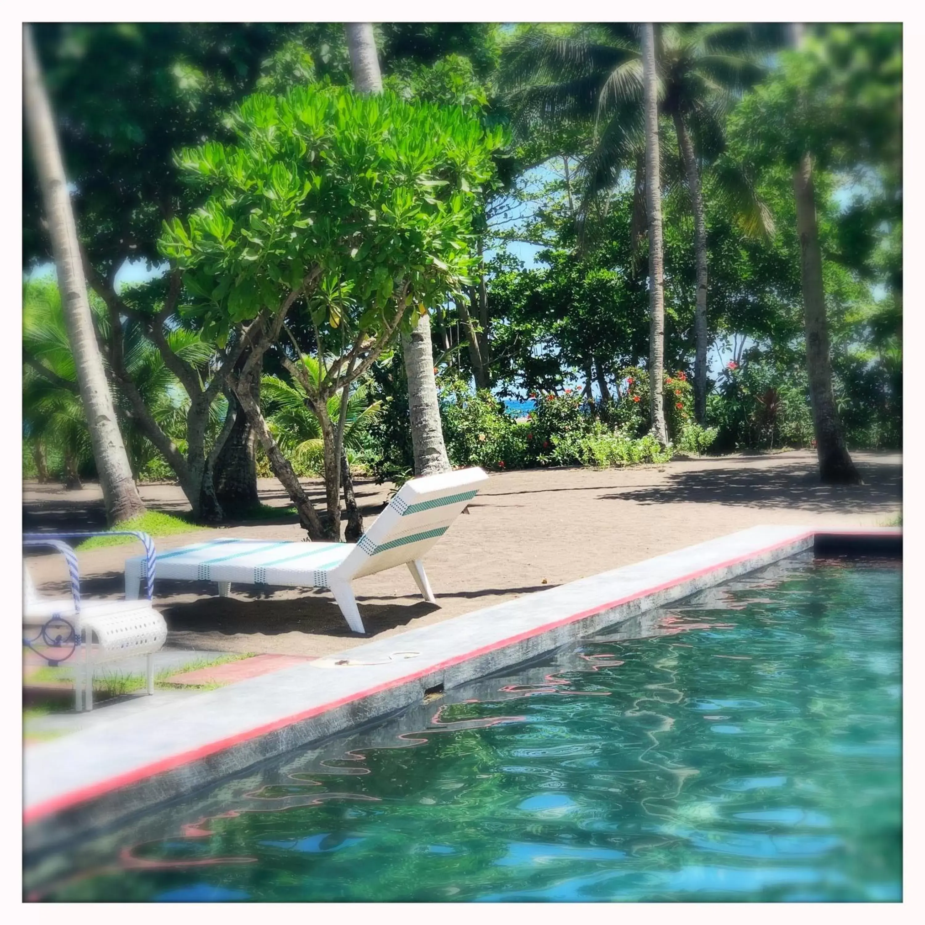 Swimming Pool in SomeWhere Else Boutique Resort