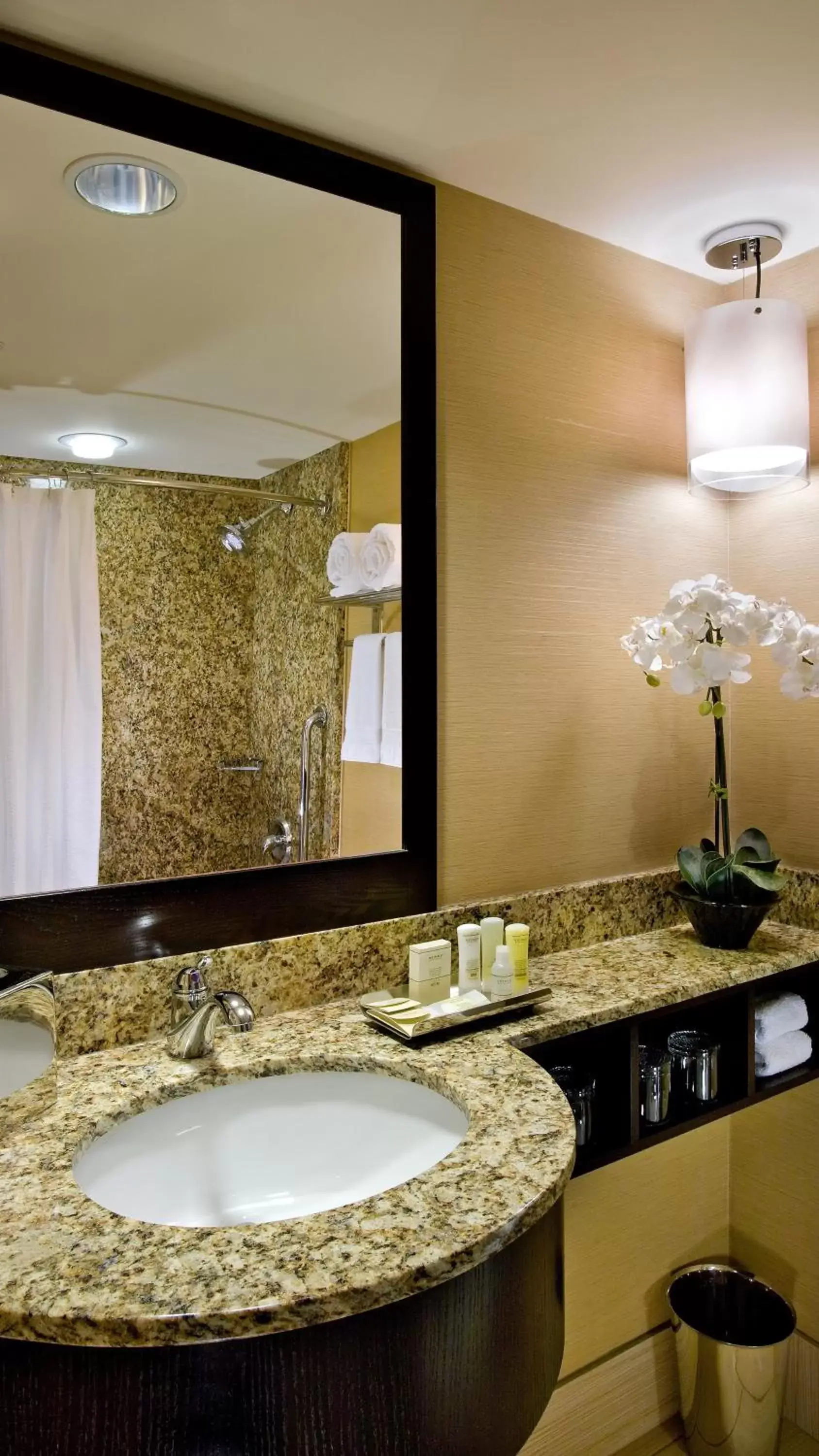 Photo of the whole room, Bathroom in Crowne Plaza Hotel Glen Ellyn/Lombard, an IHG Hotel