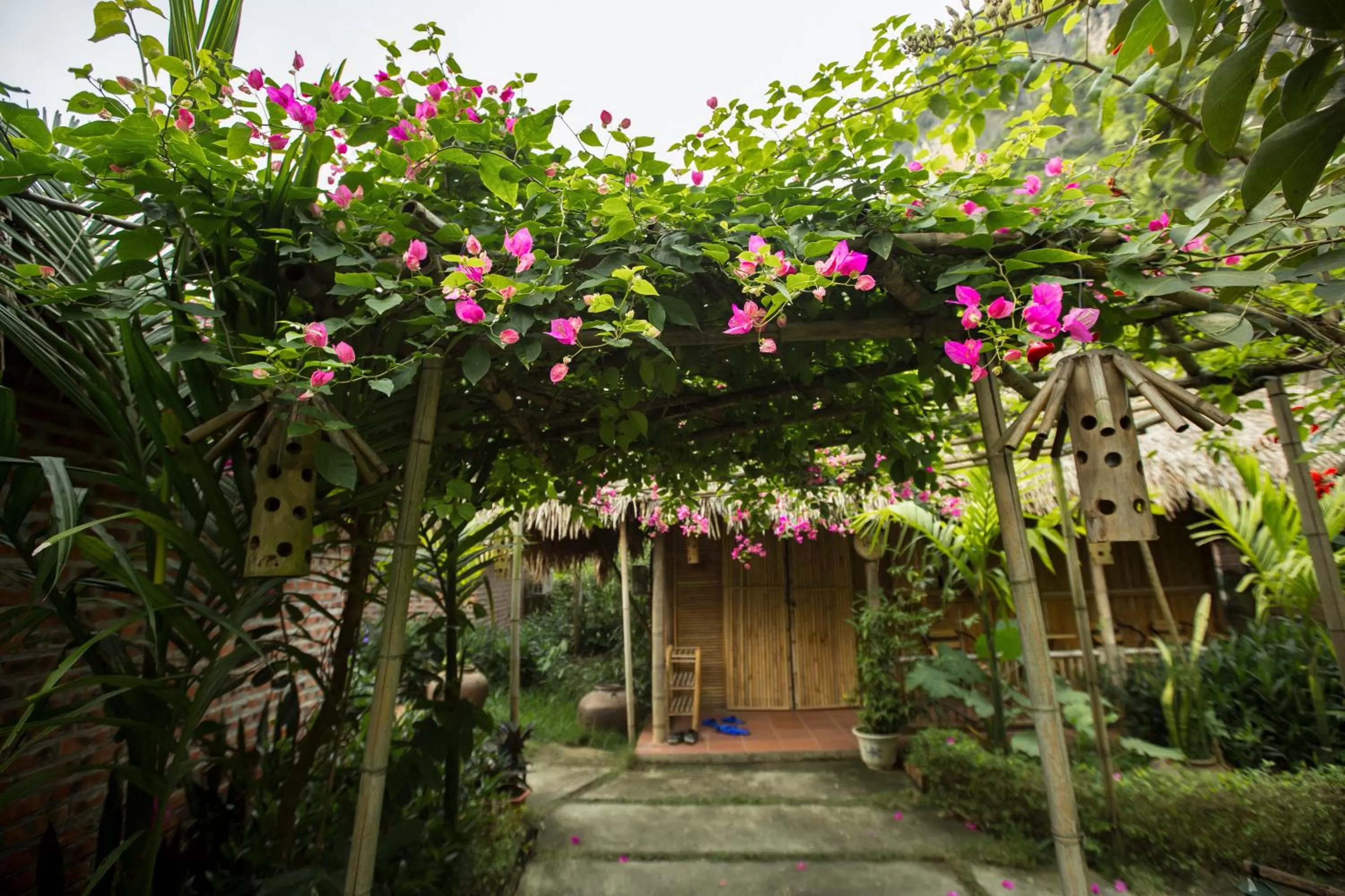 Tam Coc Rice Fields Resort