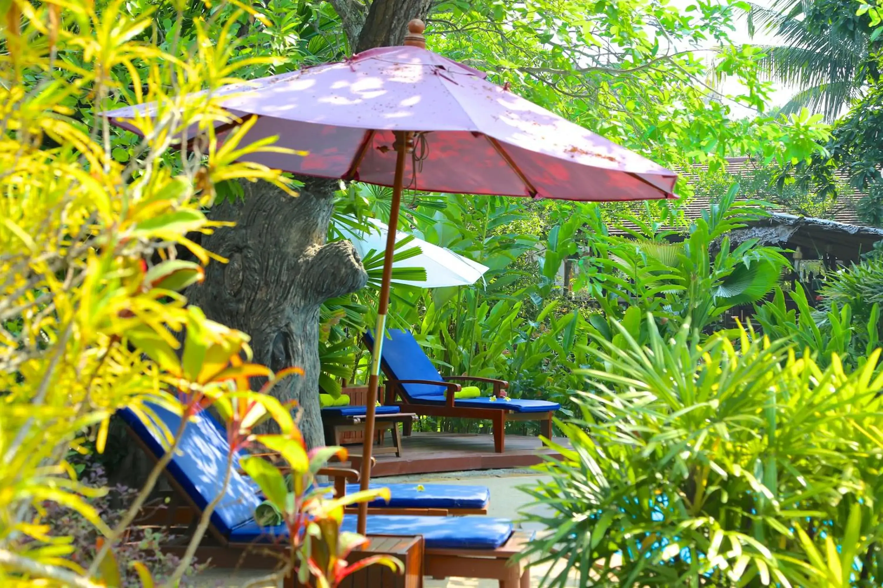 Other, Swimming Pool in Oriental Siam Resort