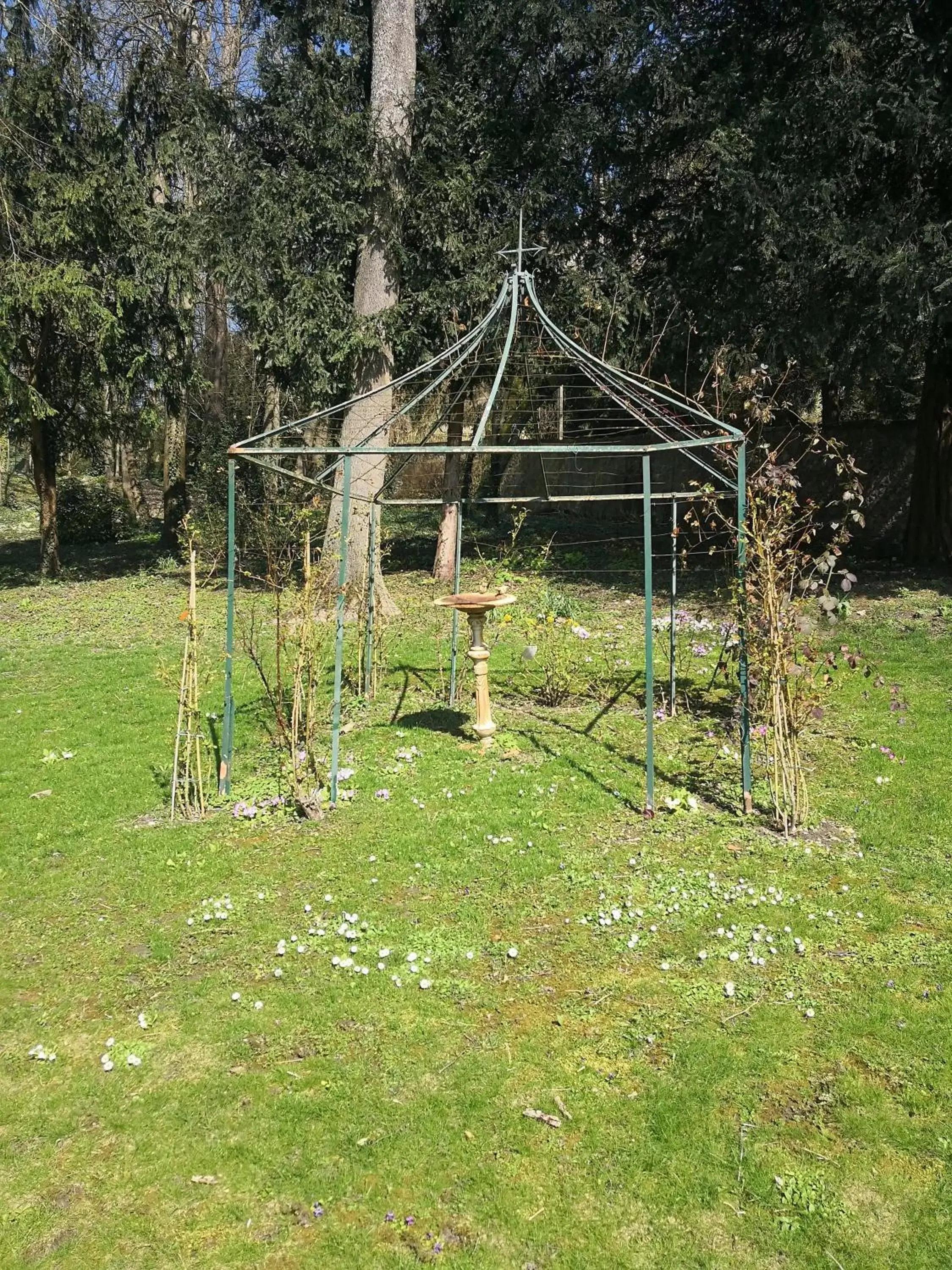 Garden view, Garden in Maison d'hôtes Stella Cadente