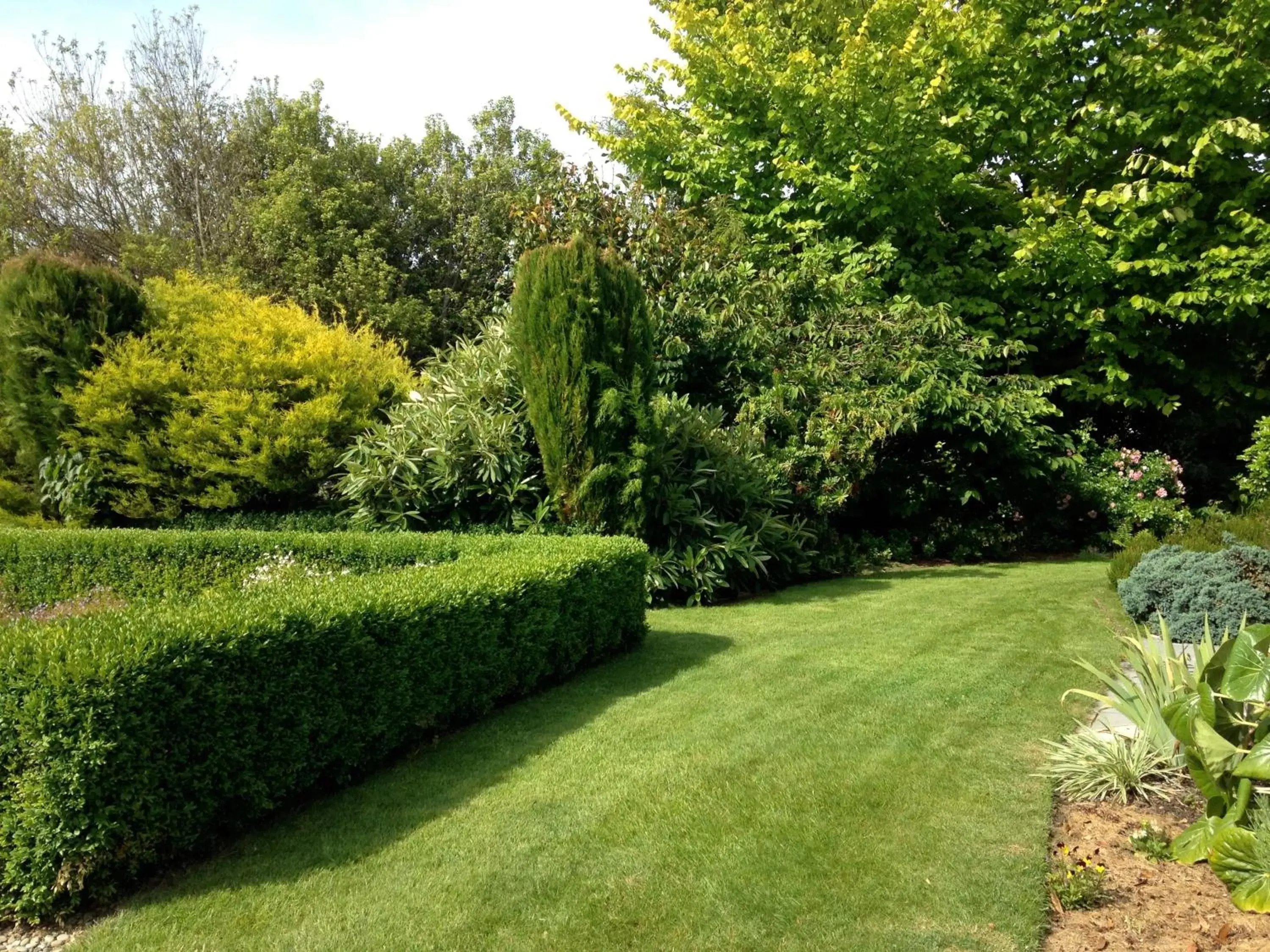 Day, Garden in Avalon Manor Motel