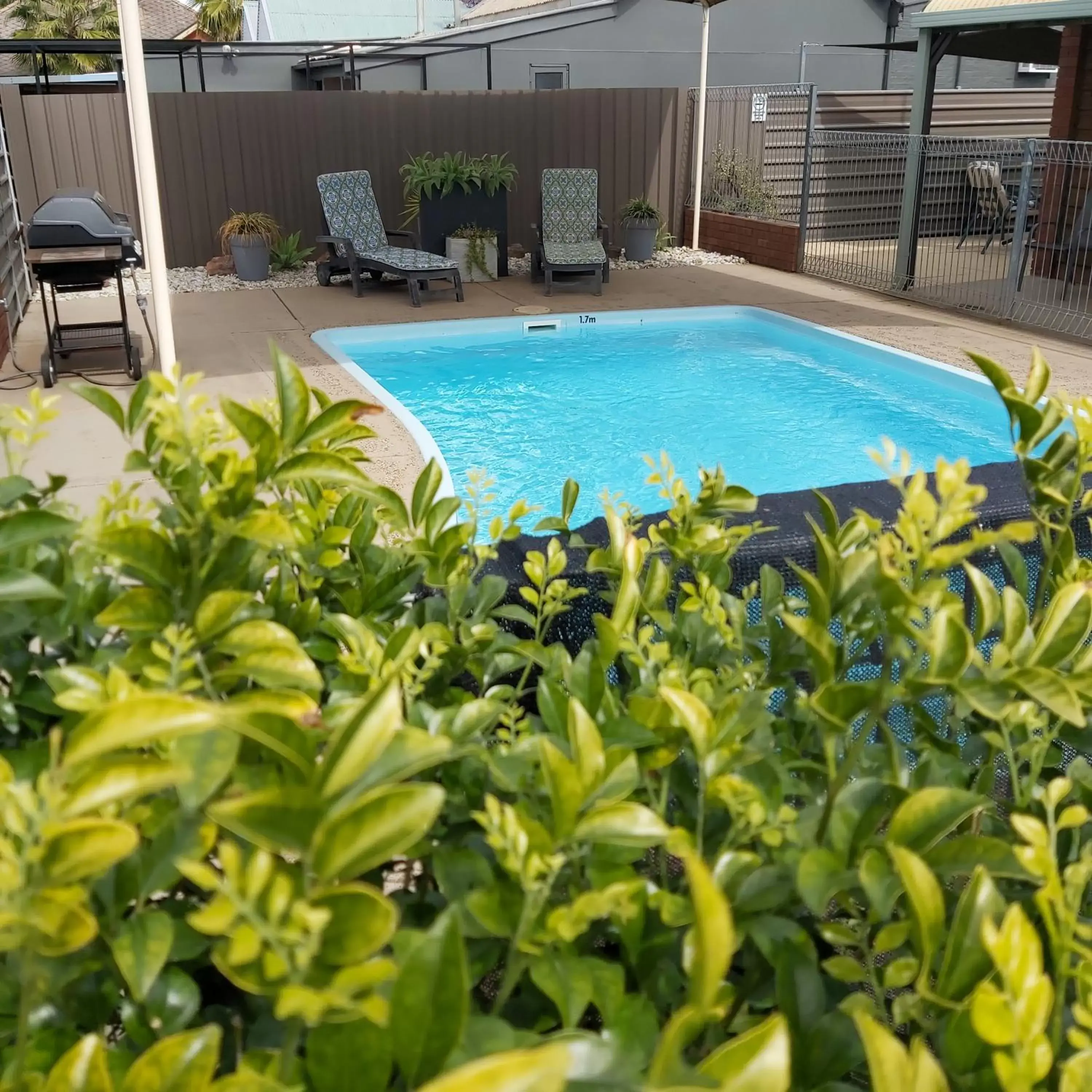 Swimming Pool in Country Mile Motor Inn